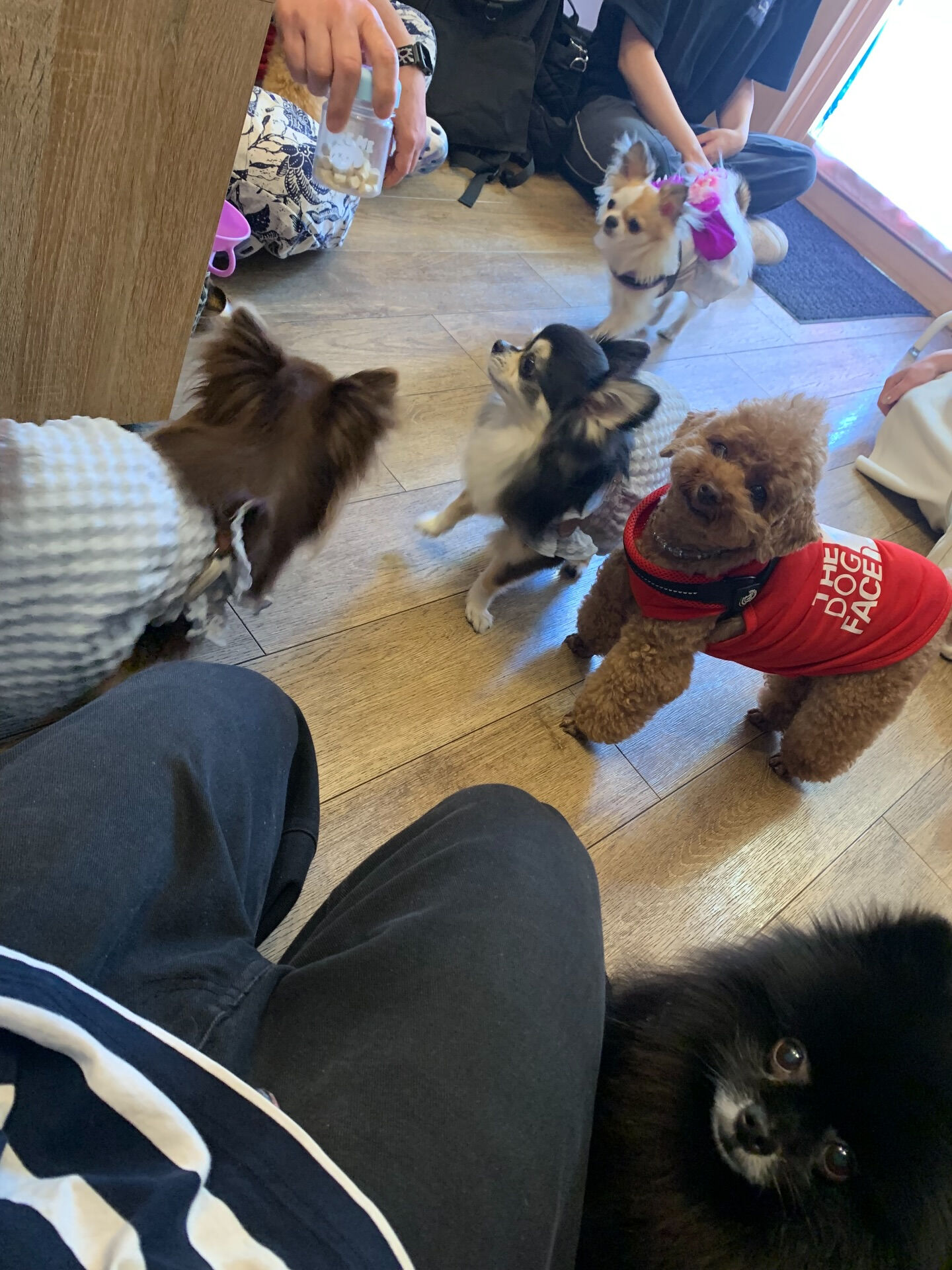 エマちゃんご来店ありがとうございます😊