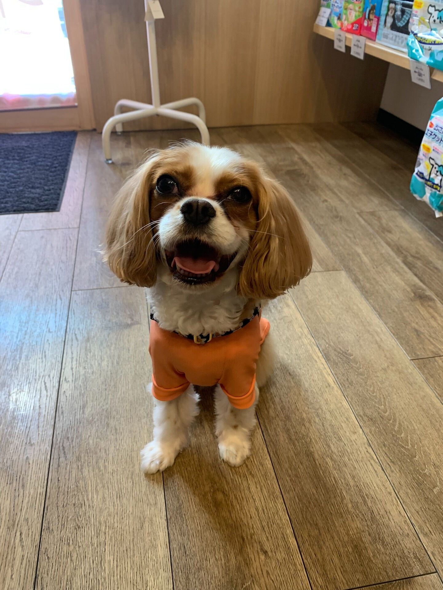 キャミちゃんご来店ありがとうございます😊