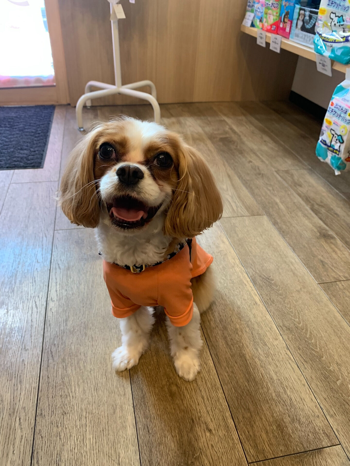 キャミちゃんご来店ありがとうございます😊