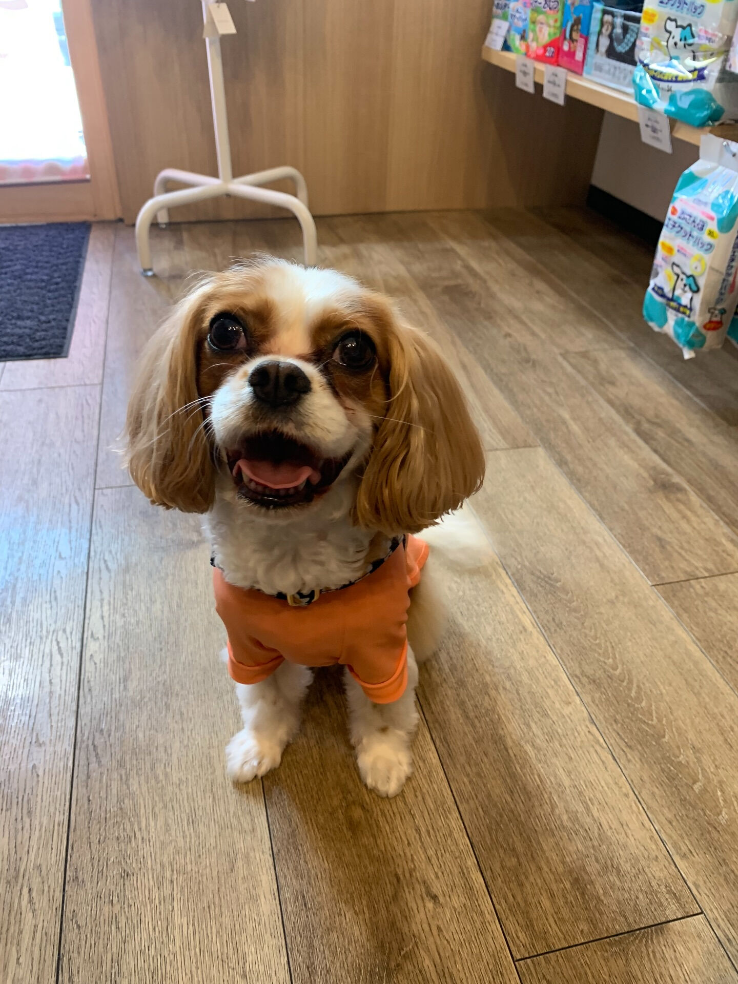 キャミちゃんご来店ありがとうございます😊