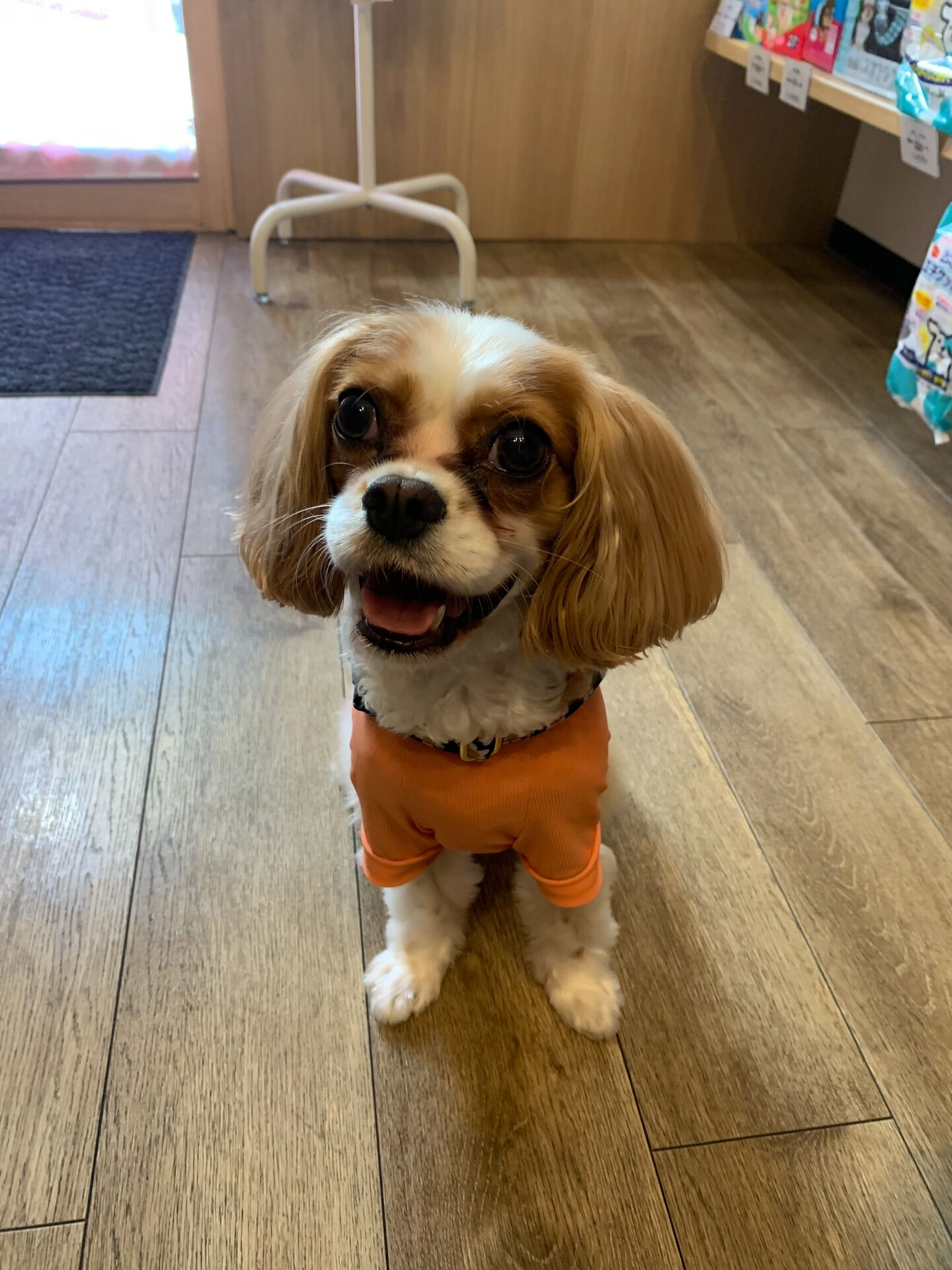 キャミちゃんご来店ありがとうございます😊