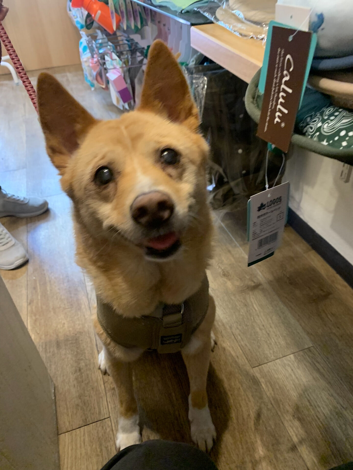 楓ちゃんご来店ありがとうございます😊