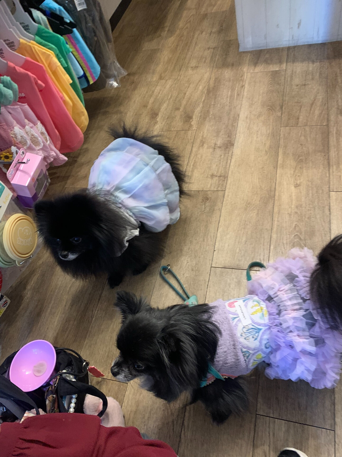 ラナちゃんご来店ありがとうございます😊