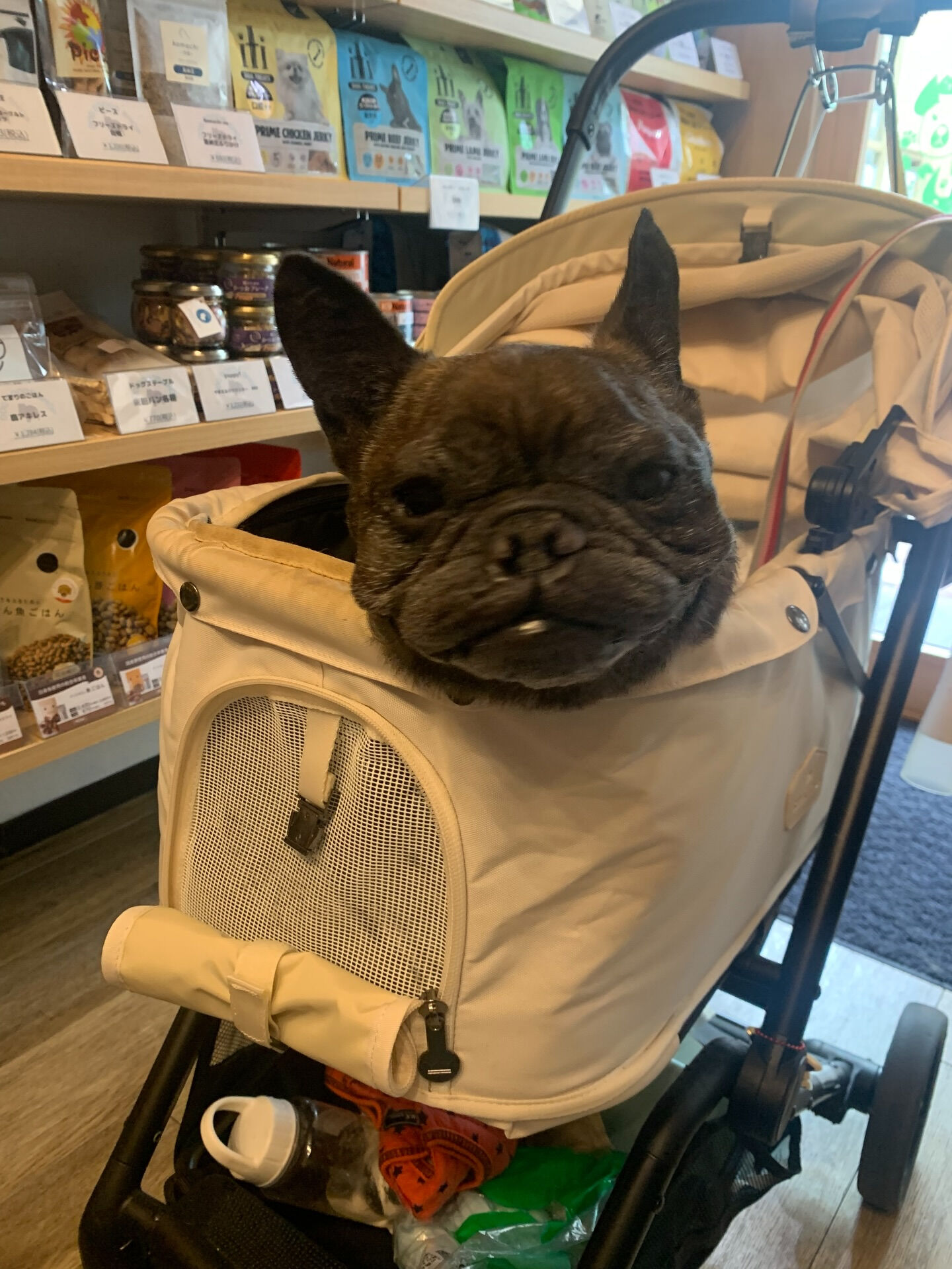 ランランちゃんご来店ありがとうございます😊