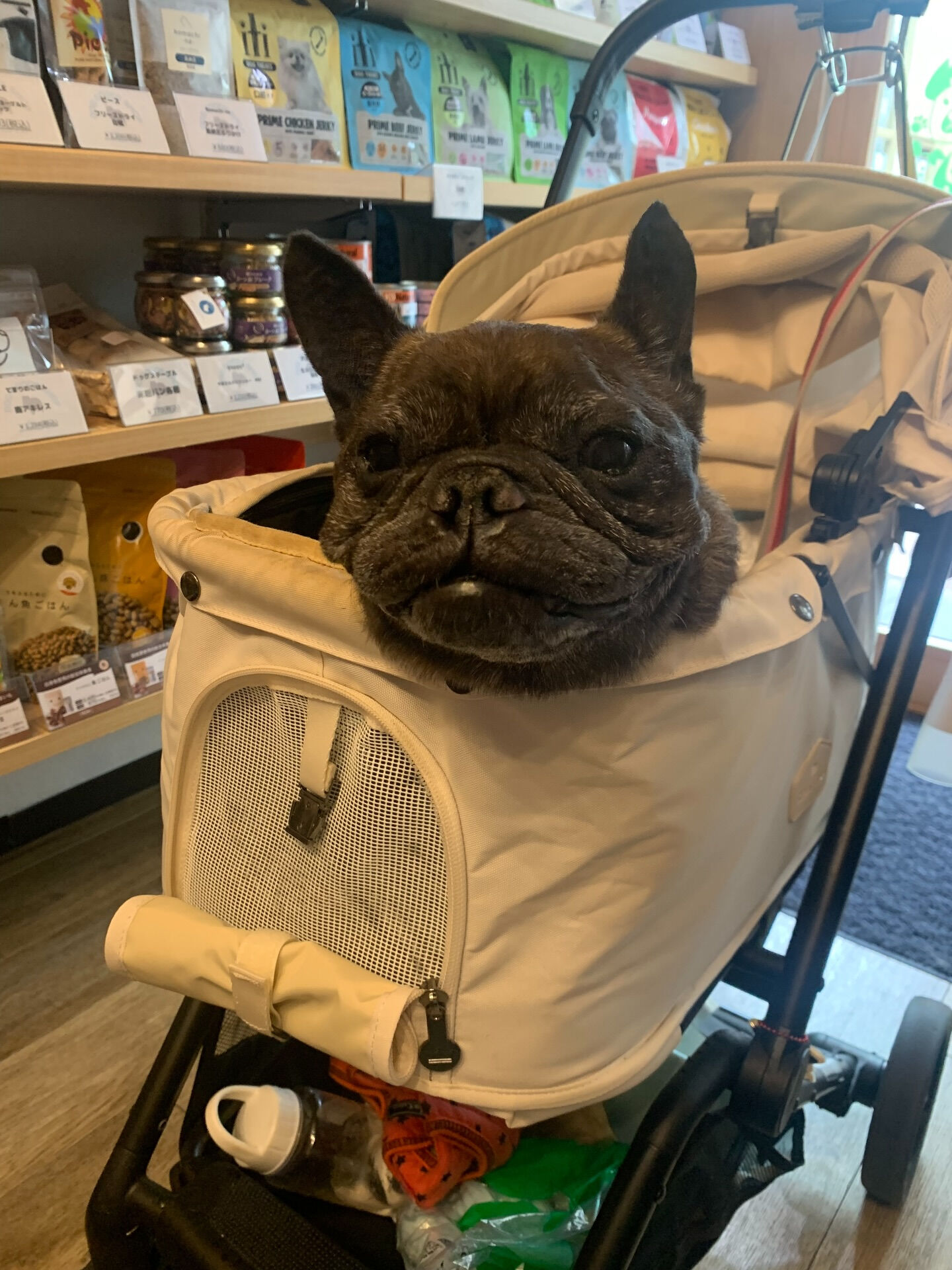 ランランちゃんご来店ありがとうございます😊