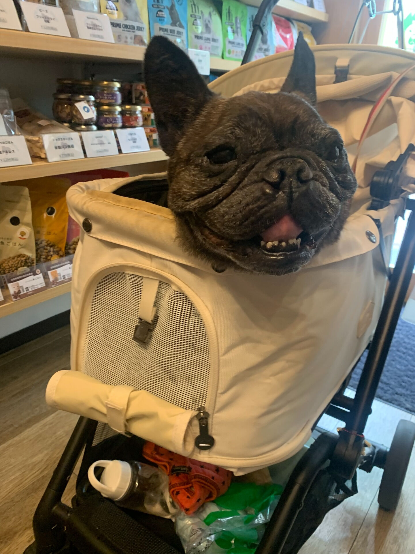 ランランちゃんご来店ありがとうございます😊
