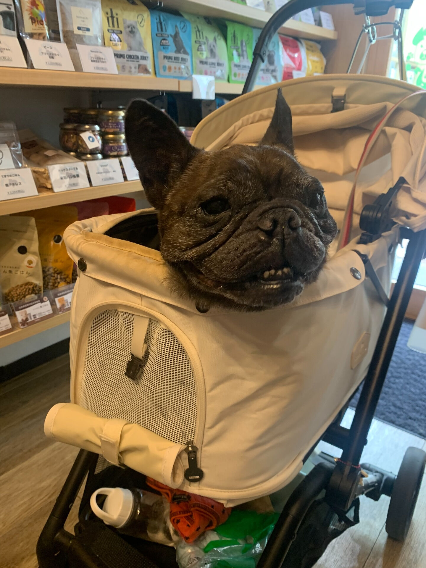 ランランちゃんご来店ありがとうございます😊