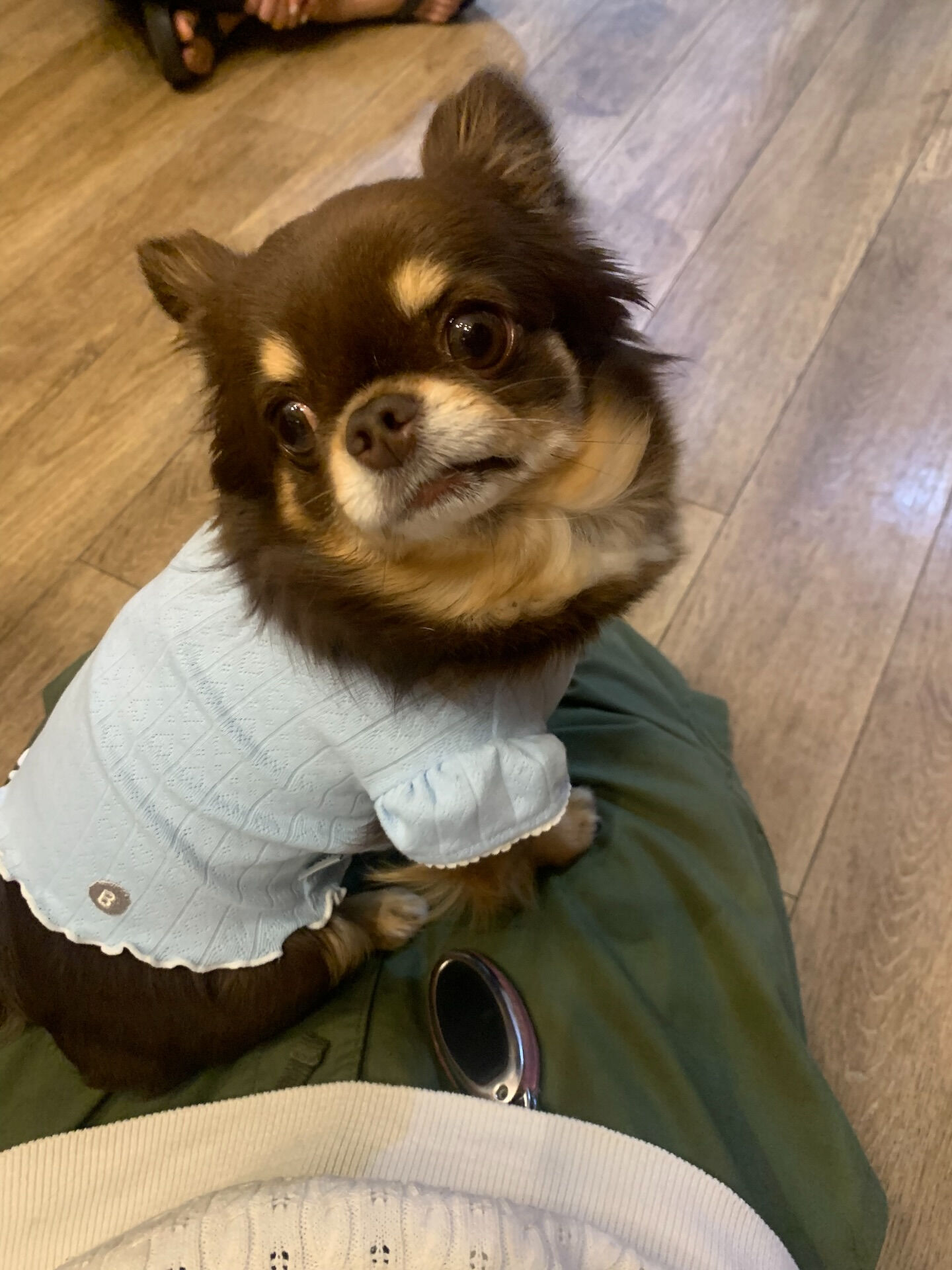 テンちゃんご来店ありがとうございます😊