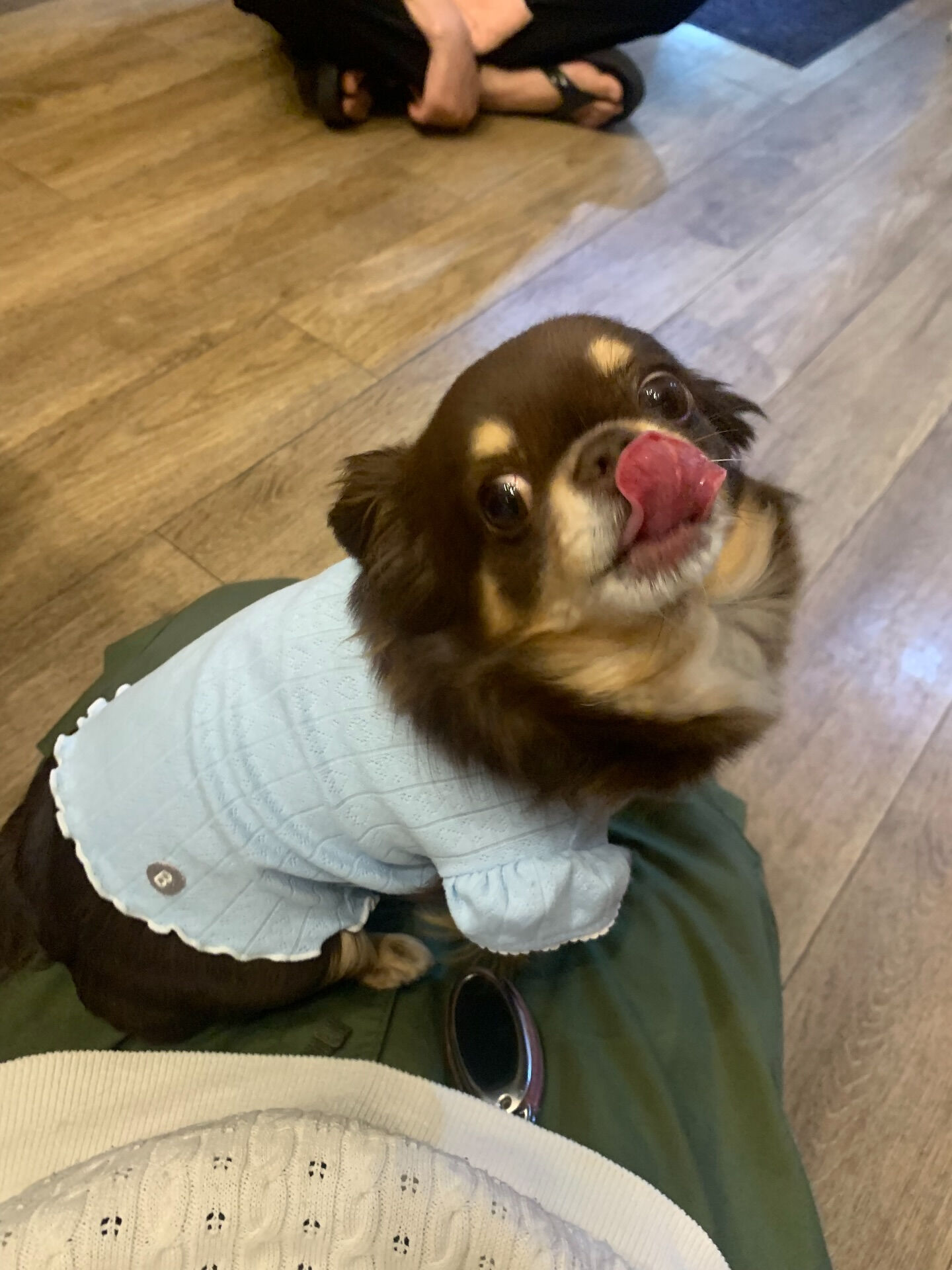 テンちゃんご来店ありがとうございます😊