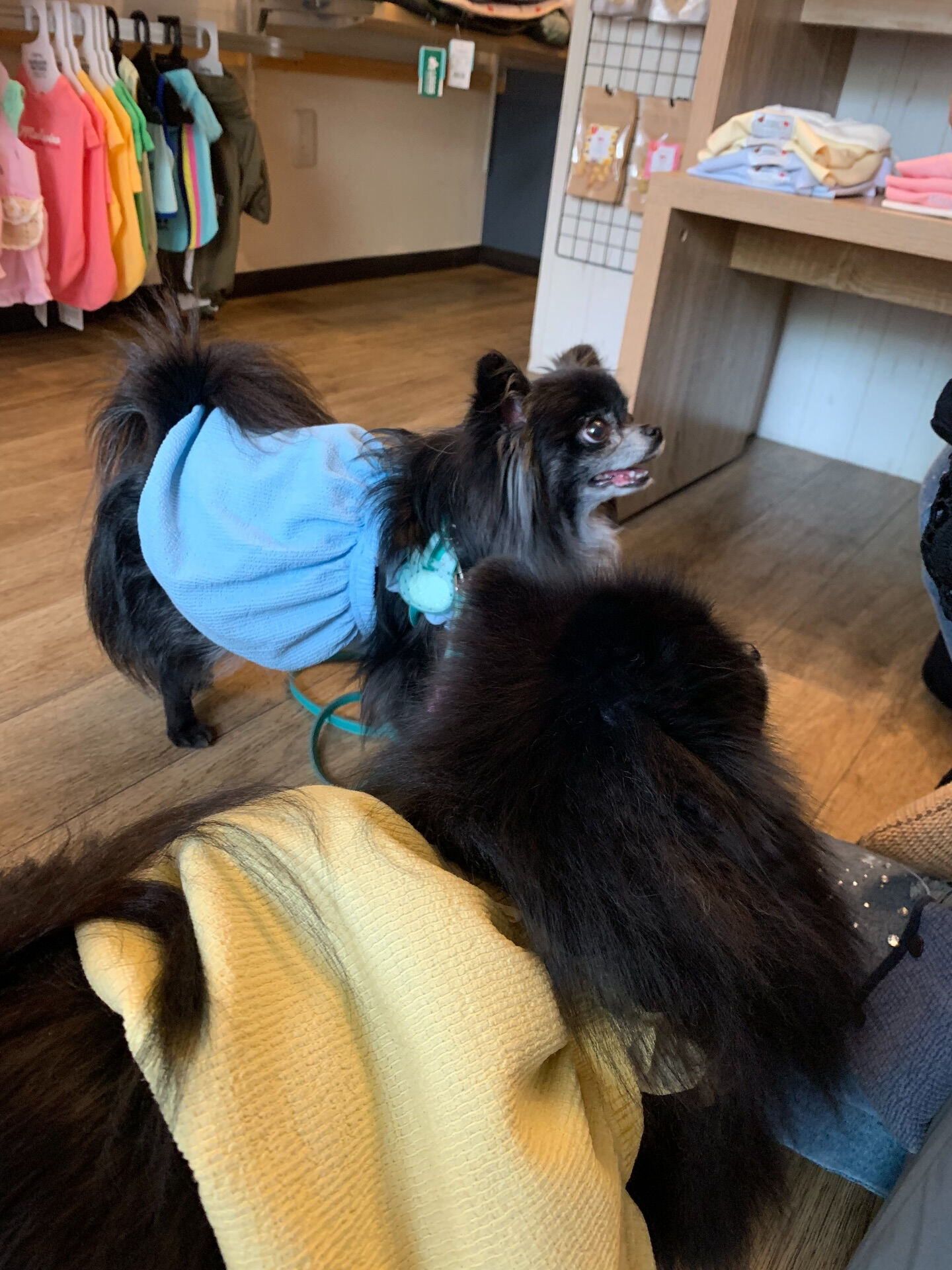 ラナちゃんご来店ありがとうございます😊