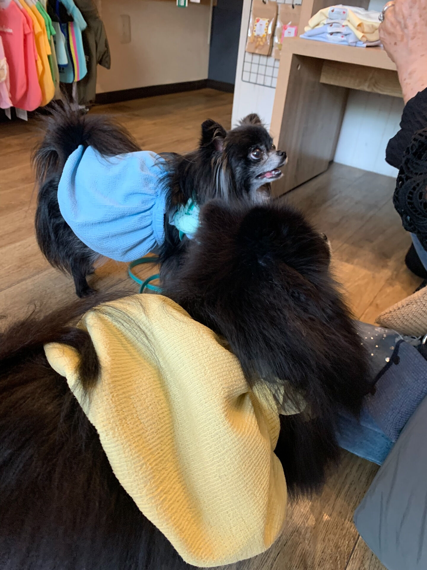 ラナちゃんご来店ありがとうございます😊