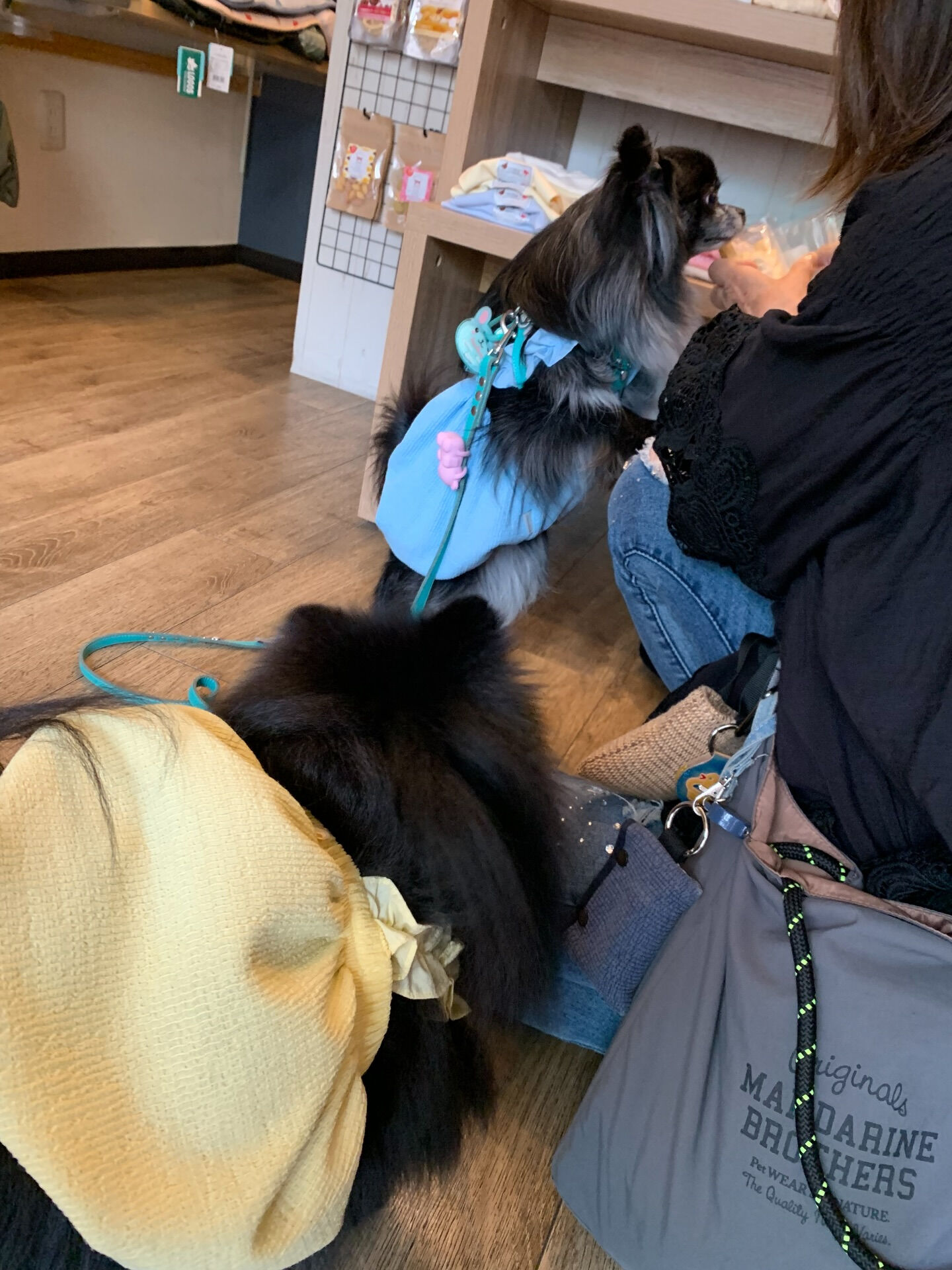 ラナちゃんご来店ありがとうございます😊