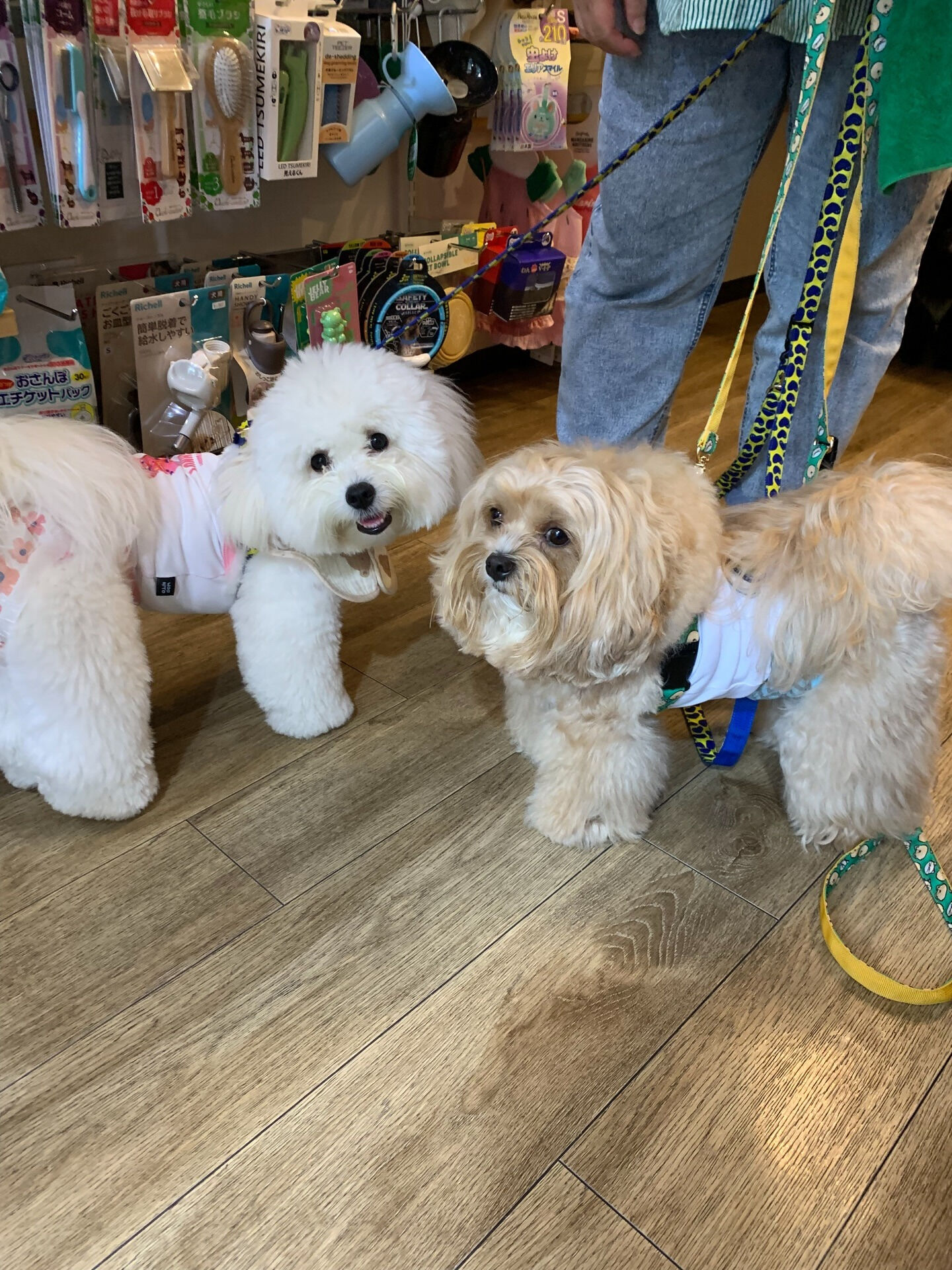 笑丸くん、笑心ちゃんご来店ありがとうございます😊
