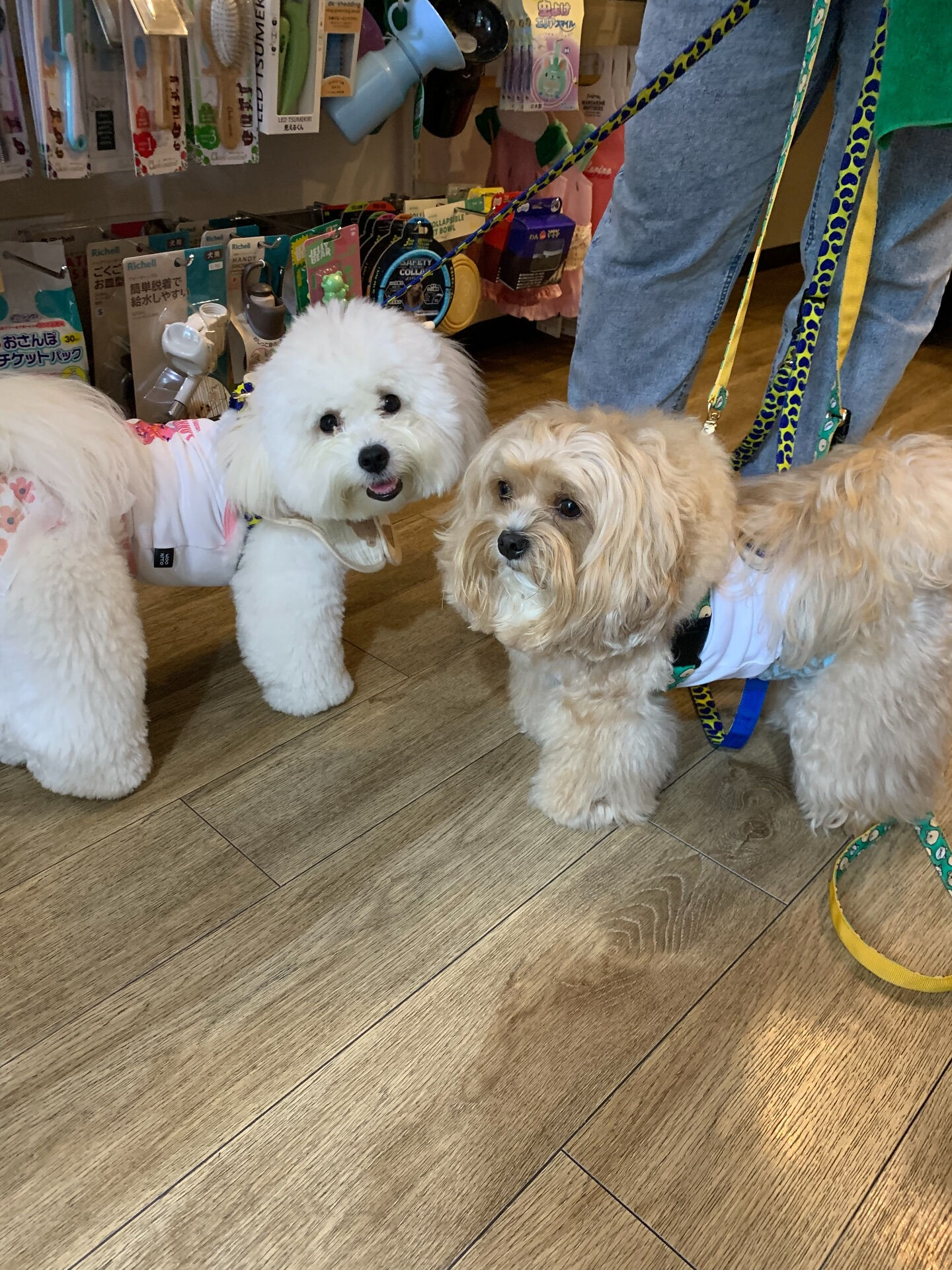 笑丸くん、笑心ちゃんご来店ありがとうございます😊