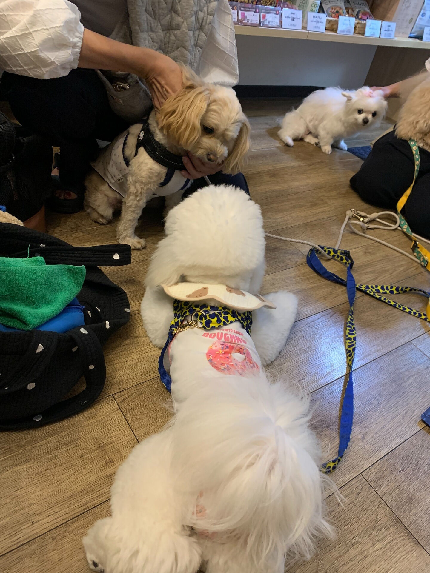 ウコちゃんご来店ありがとうございます😊