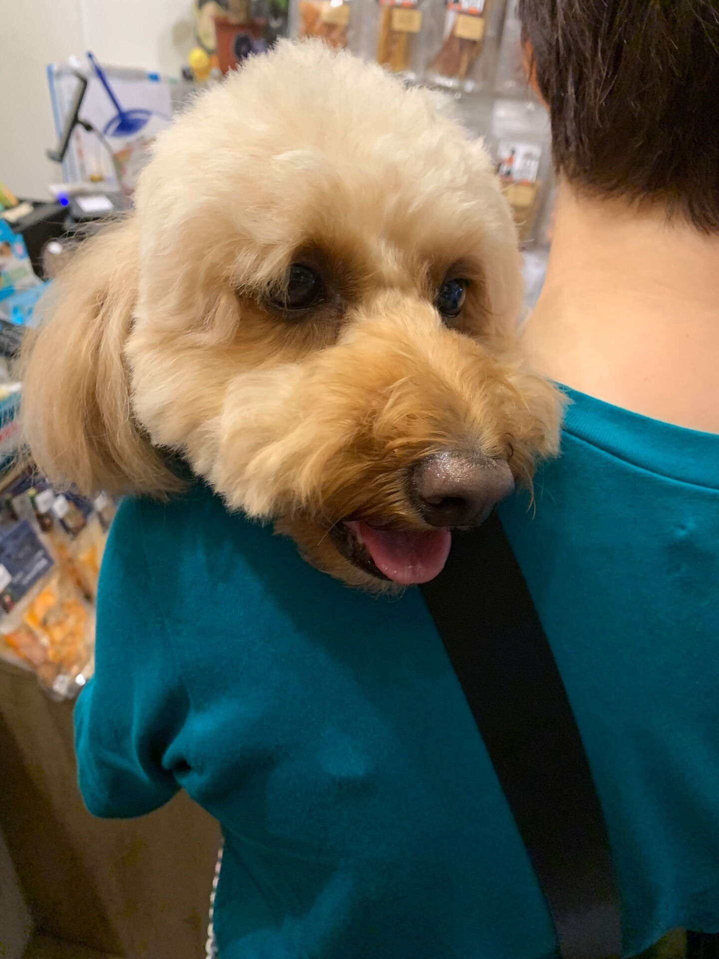 ちょびちゃんご来店ありがとうございます😊