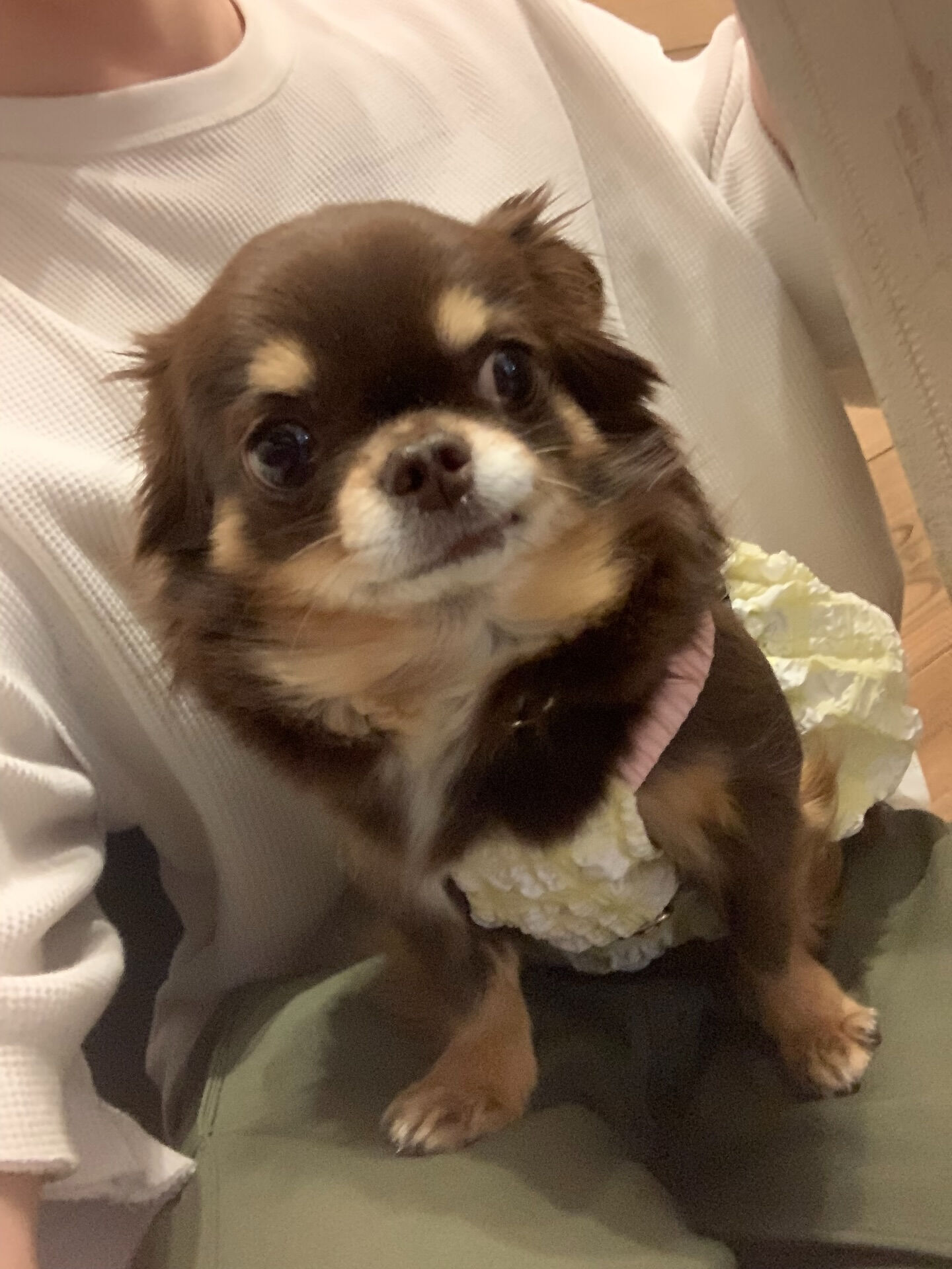 本日の大トリは、テンちゃんでしたー♡♡♡ご来店ありがとうござ