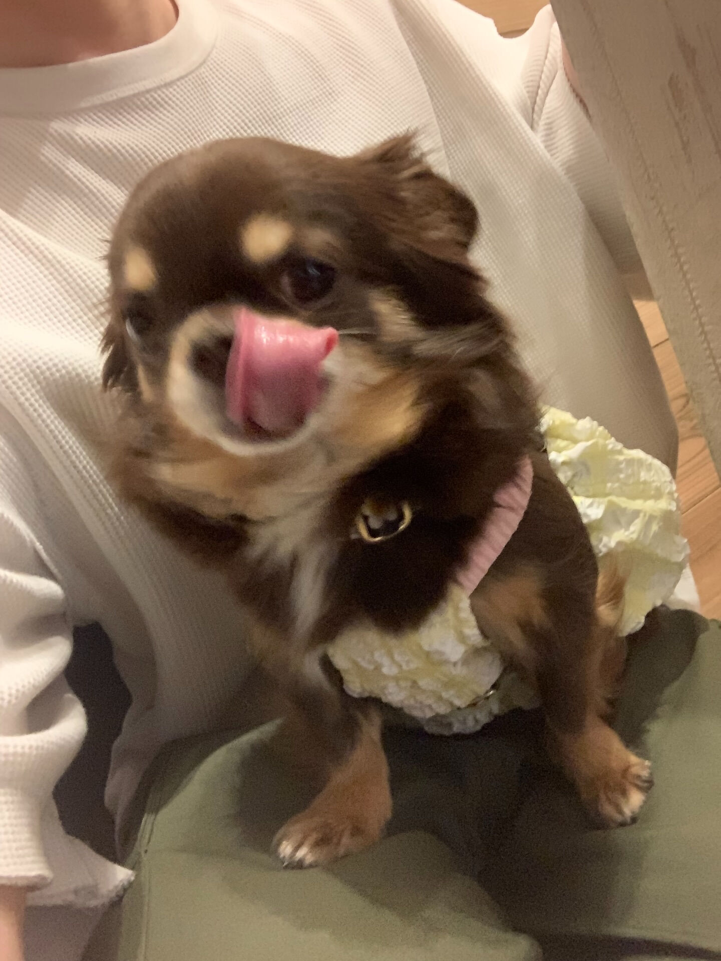 本日の大トリは、テンちゃんでしたー♡♡♡ご来店ありがとうござ