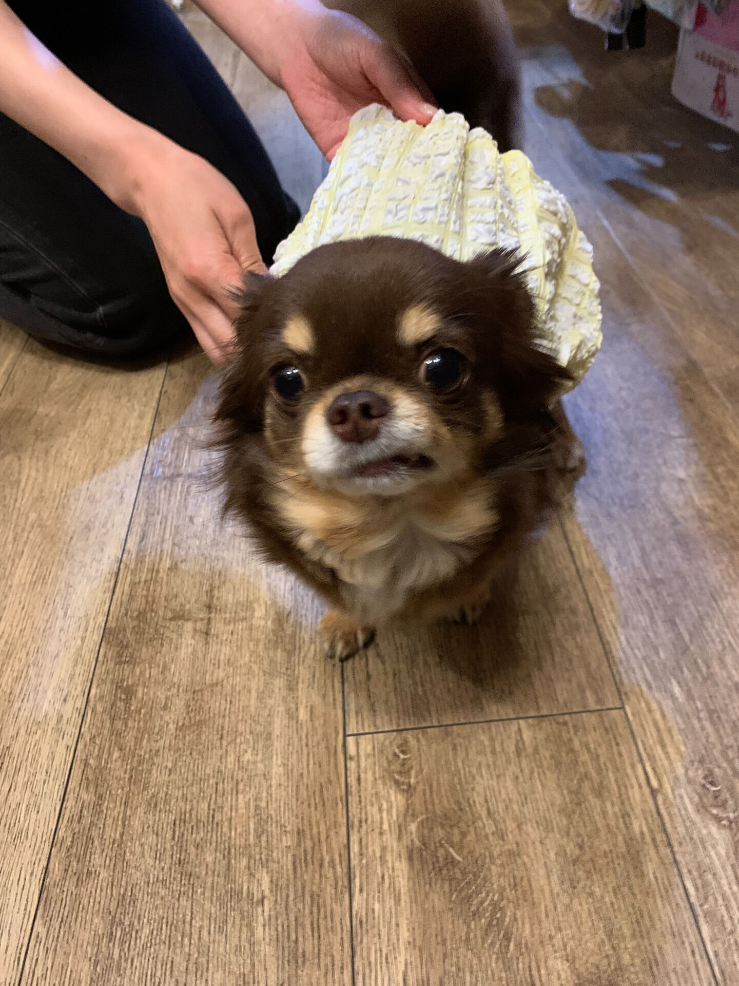本日の大トリは、テンちゃんでしたー♡♡♡ご来店ありがとうござ