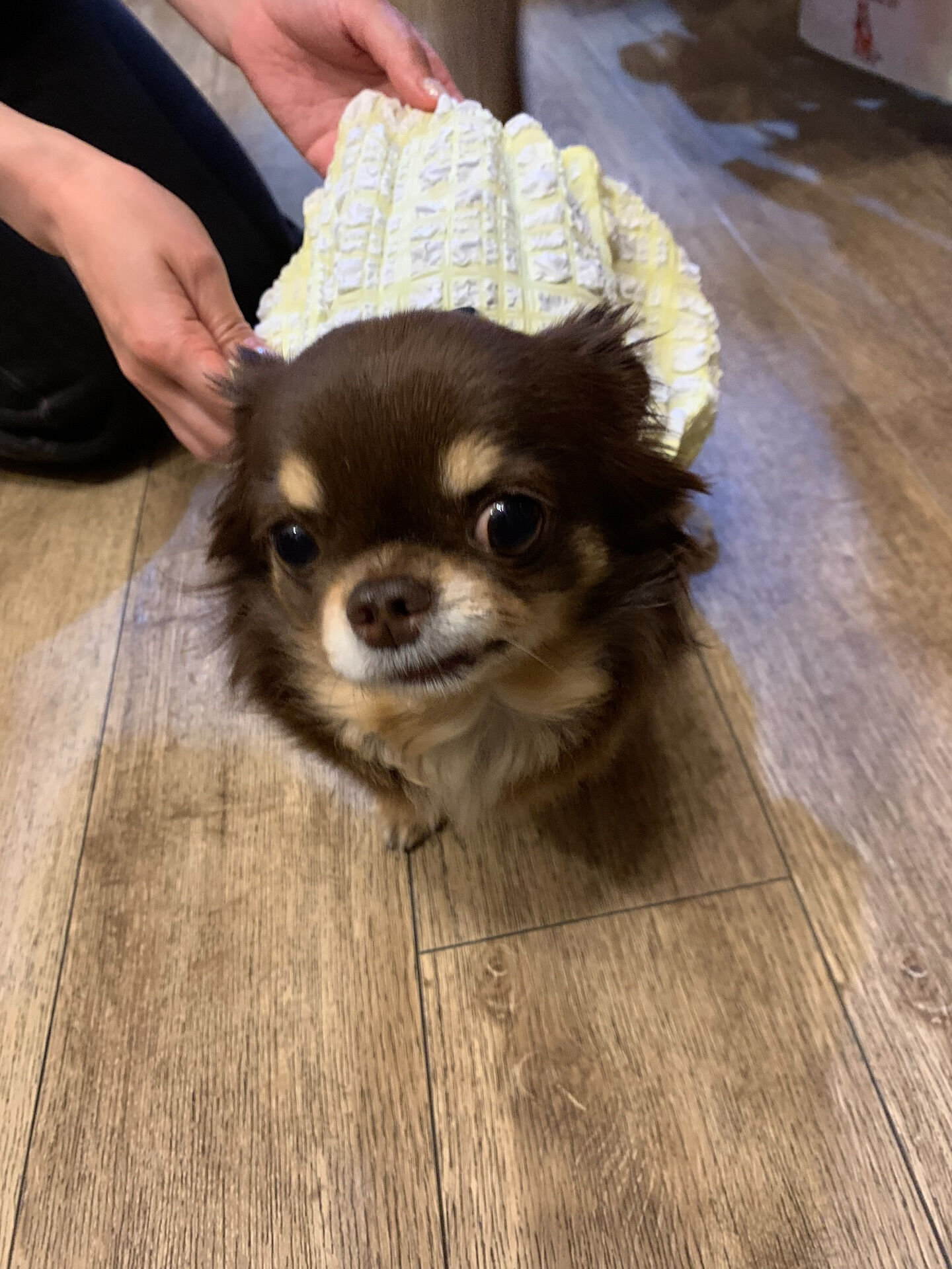 本日の大トリは、テンちゃんでしたー♡♡♡ご来店ありがとうござ