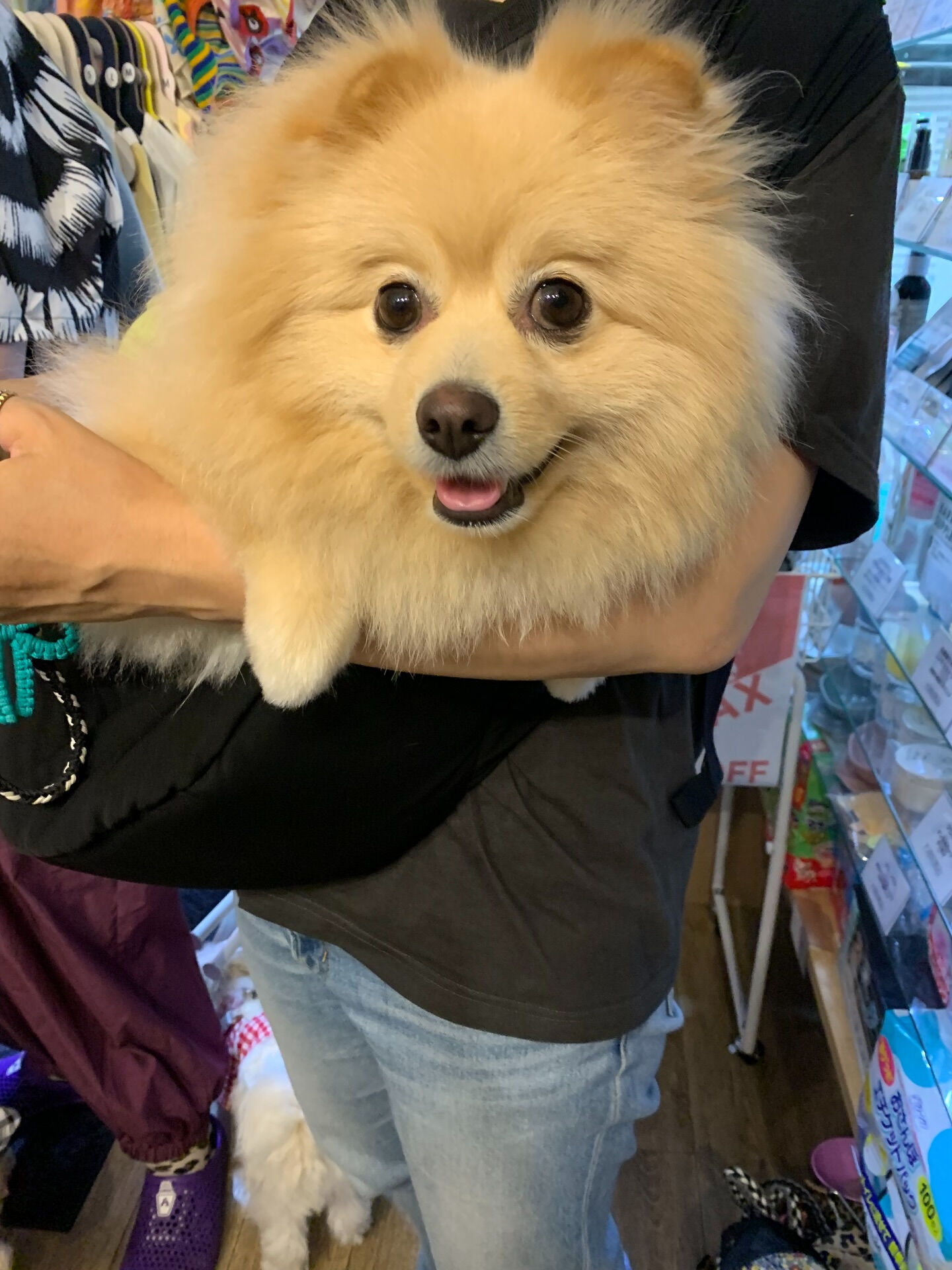 テディくんご来店ありがとうございます😊