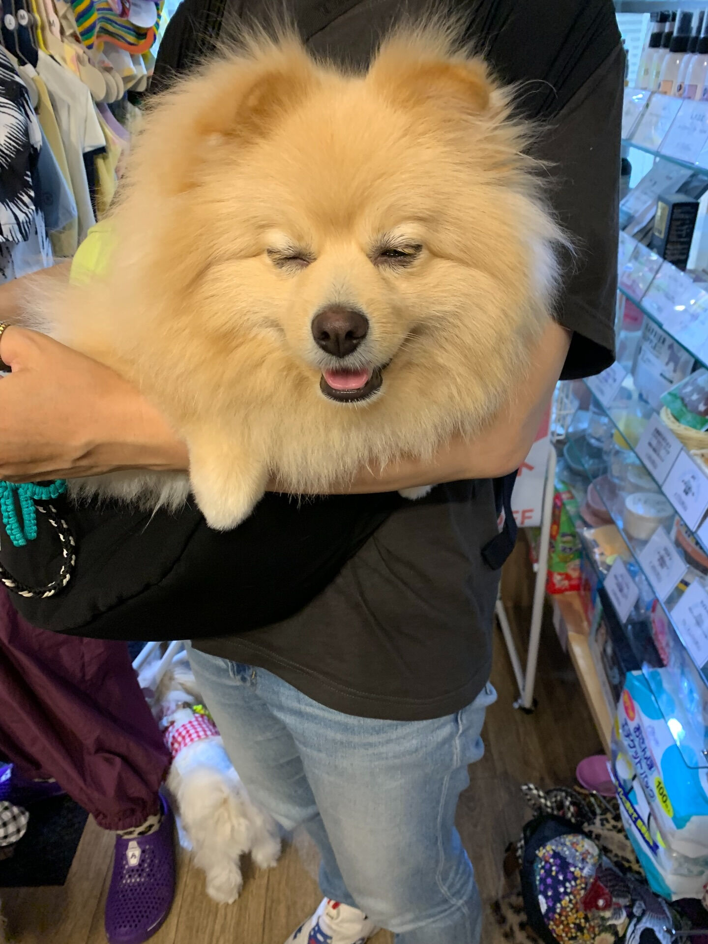 テディくんご来店ありがとうございます😊