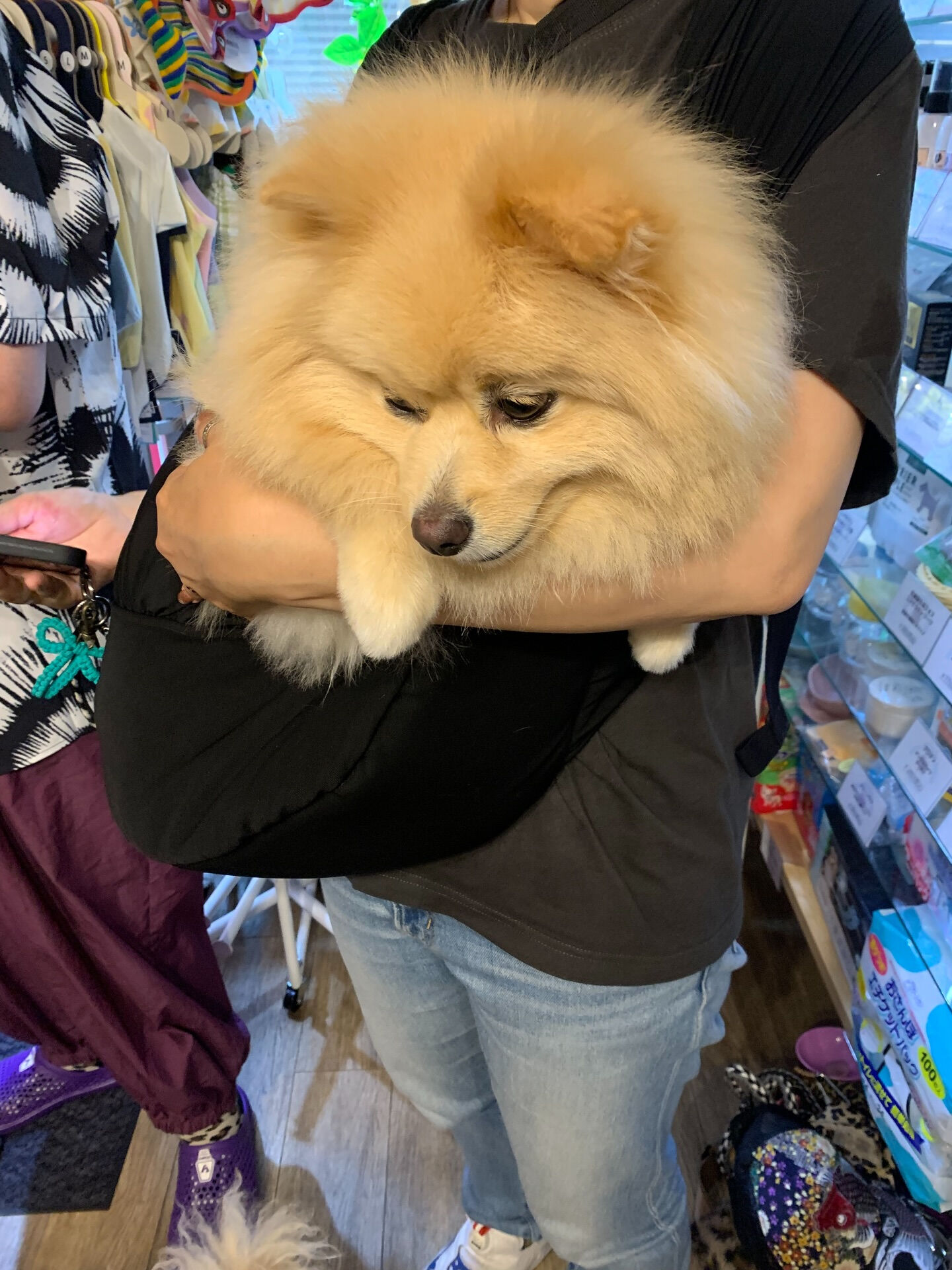 テディくんご来店ありがとうございます😊