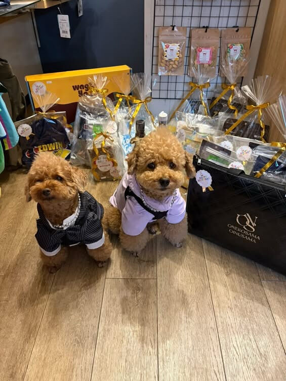 ティアくん、レオくんご来店ありがとうございます😊