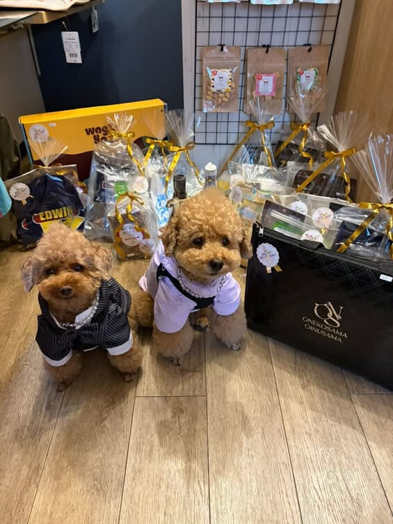 ティアくん、レオくんご来店ありがとうございます😊