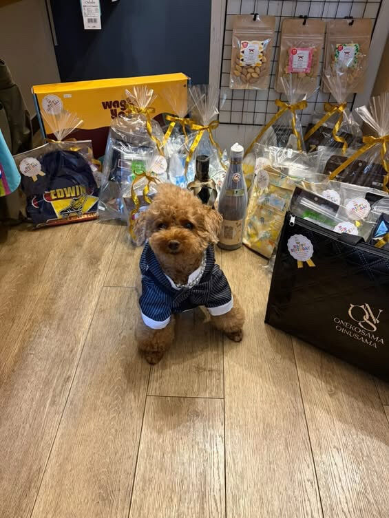 ティアくん、レオくんご来店ありがとうございます😊