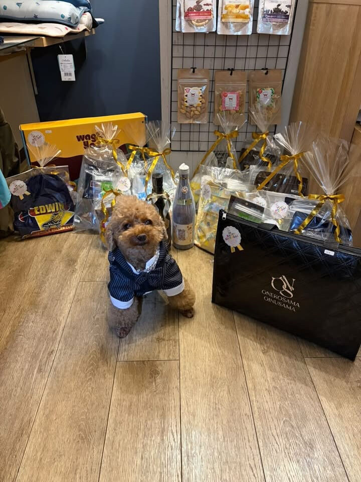 ティアくん、レオくんご来店ありがとうございます😊