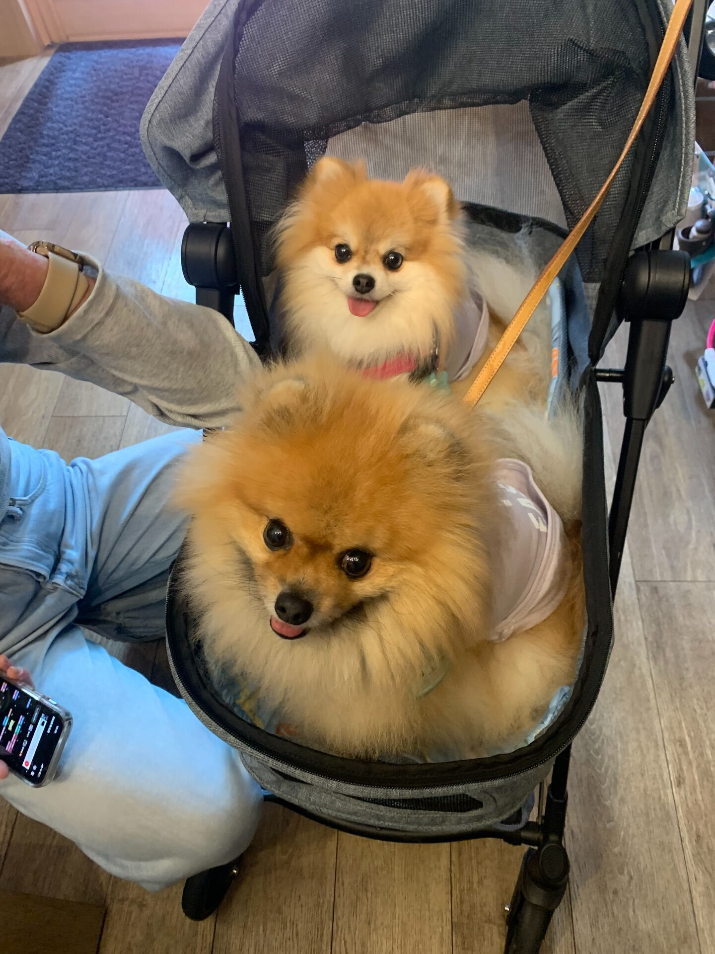 そらくん、ルナちゃんご来店ありがとうございます😊