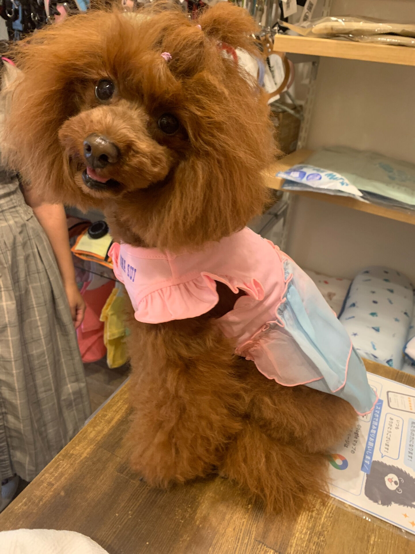 のんのちゃんご来店ありがとうございます✨