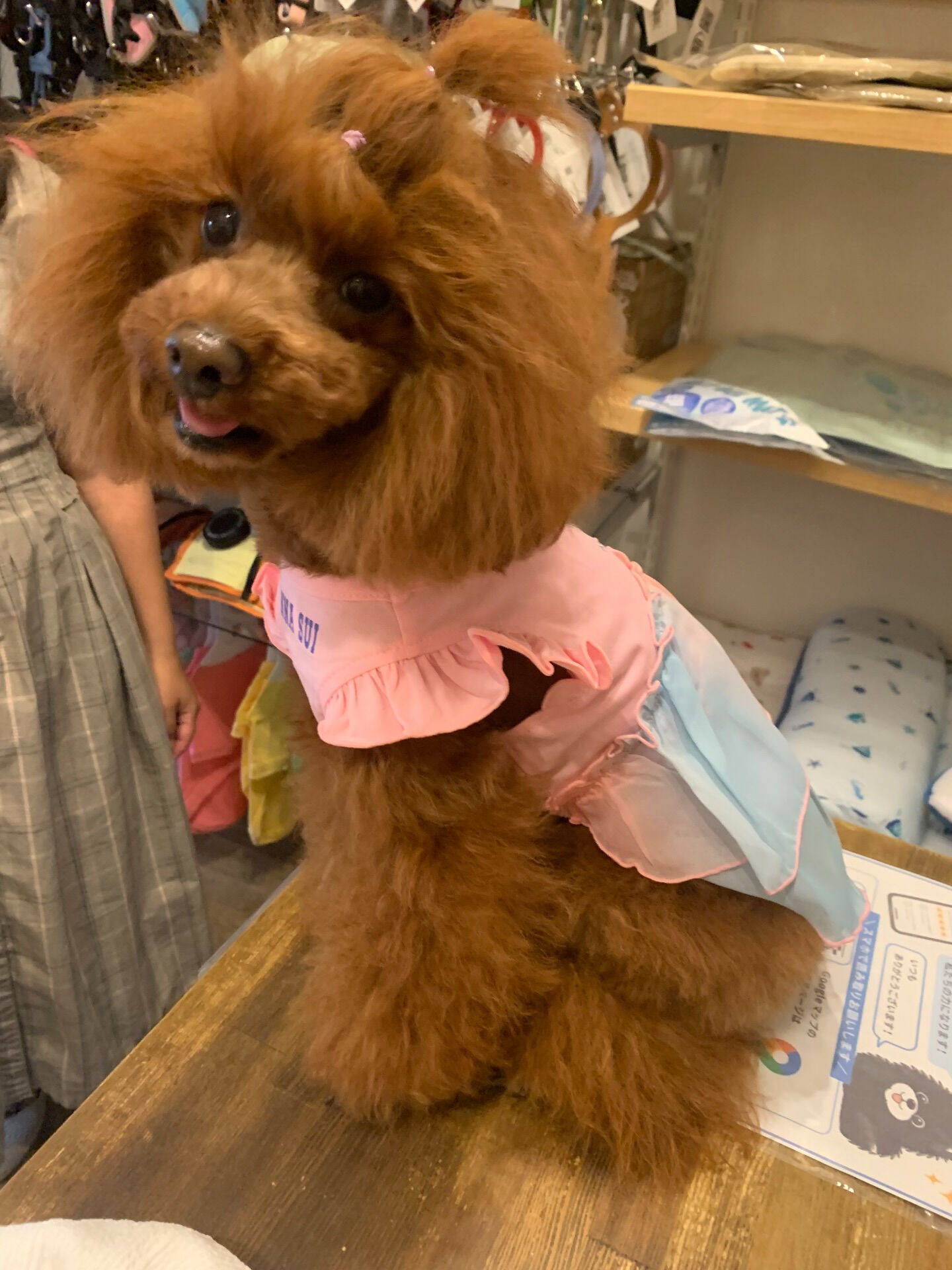 のんのちゃんご来店ありがとうございます✨