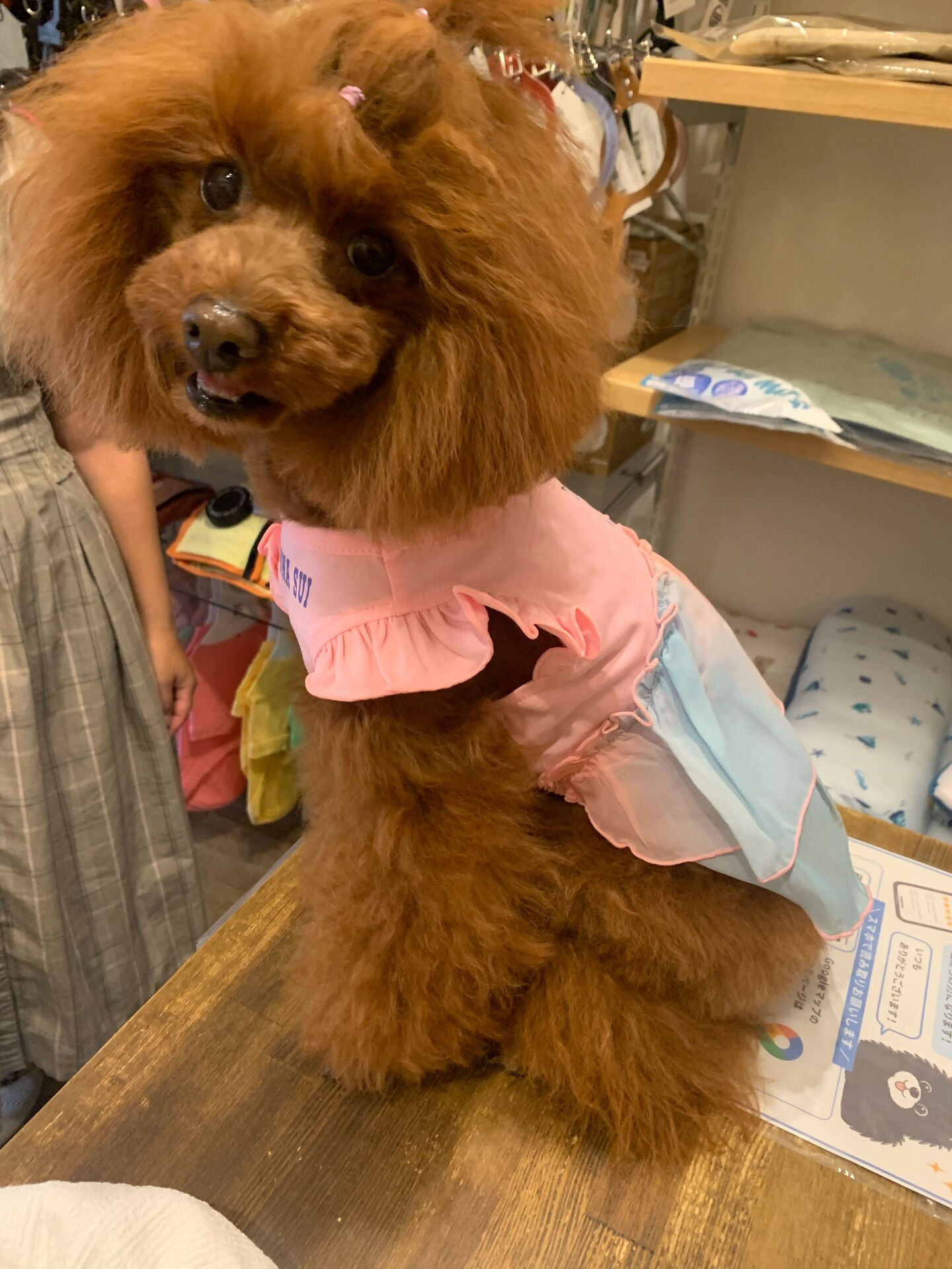 のんのちゃんご来店ありがとうございます✨