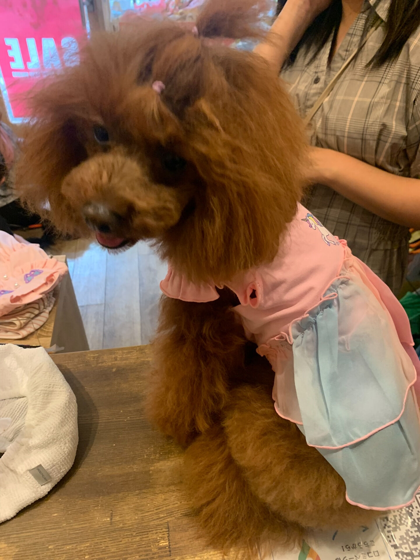 のんのちゃんご来店ありがとうございます✨