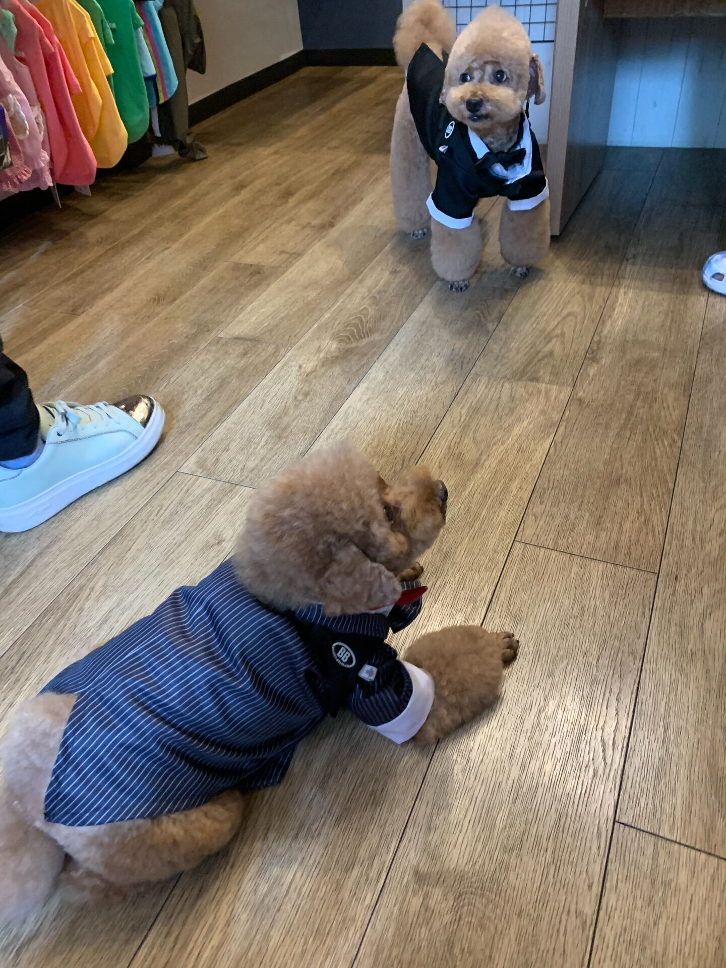 ティアくん、レオくんご来店ありがとうございます😊