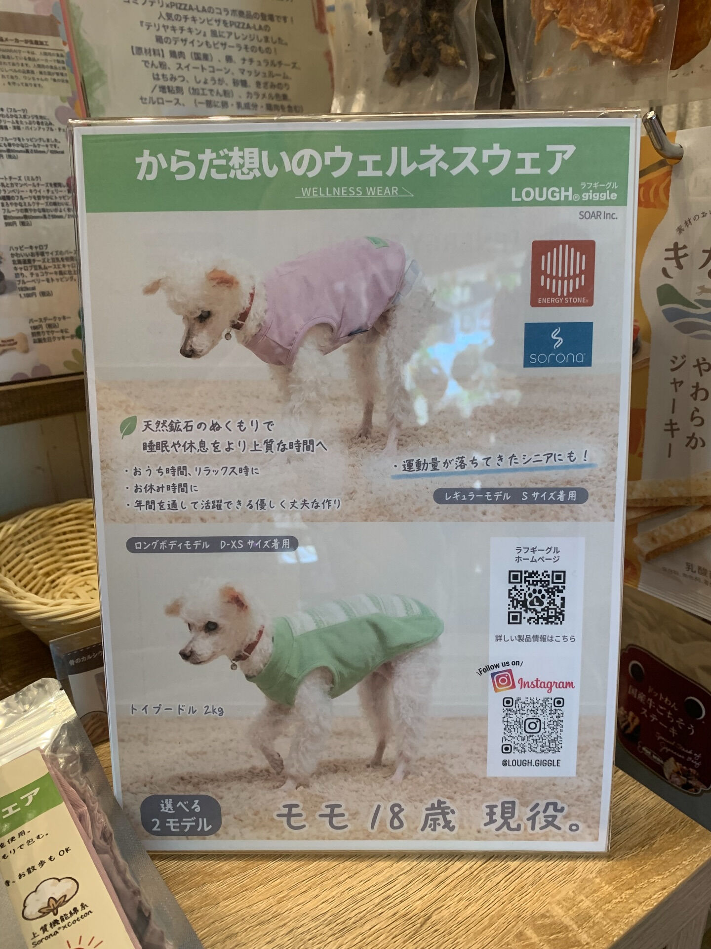 からだ想いのウェルネスウェア新発売‼︎