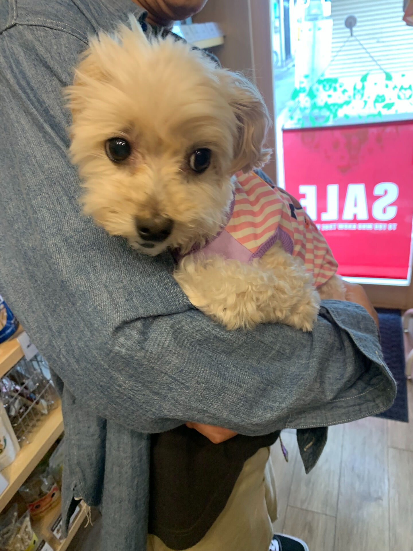 シェールちゃんご来店ありがとうございます😊