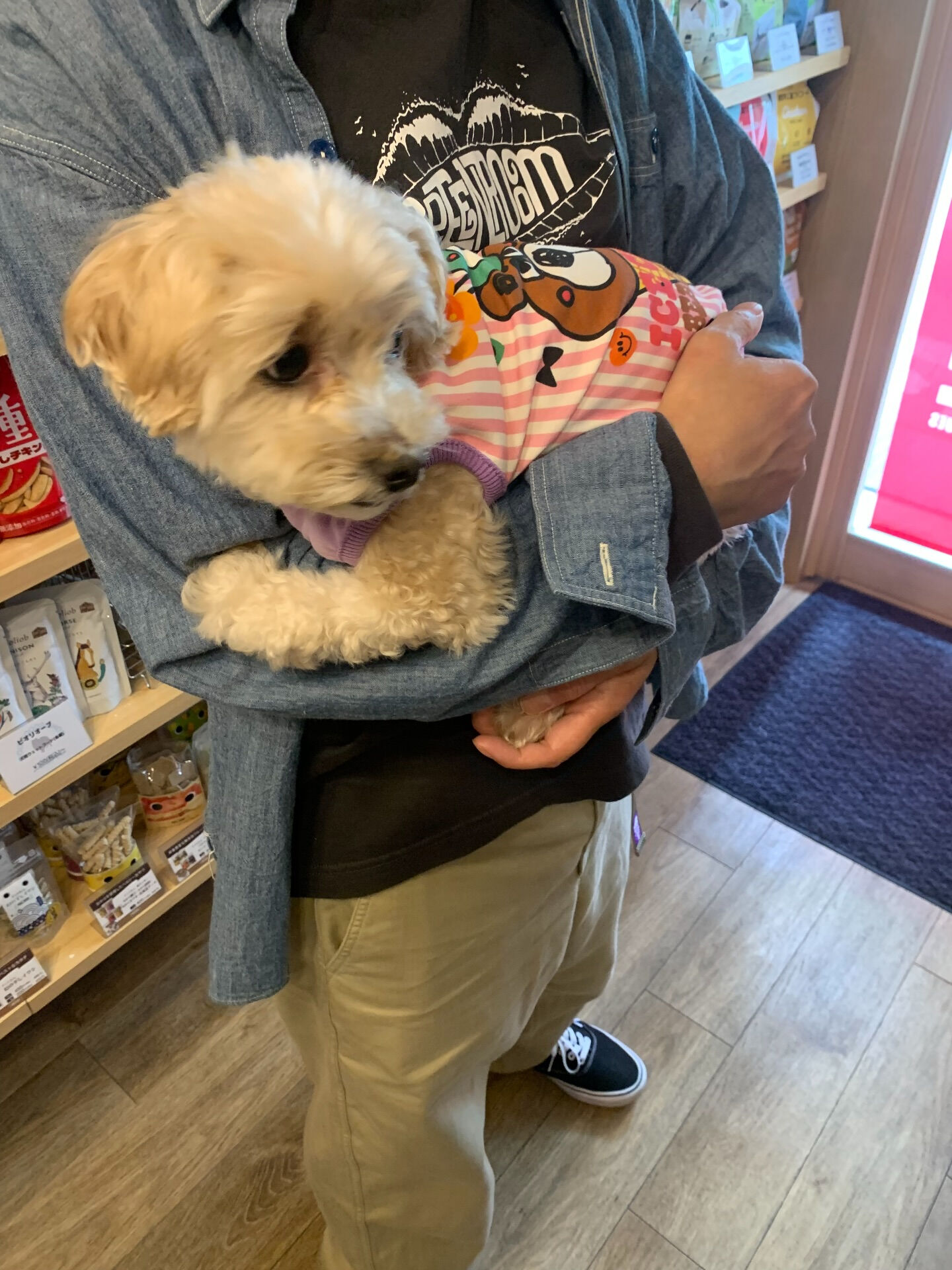 シェールちゃんご来店ありがとうございます😊