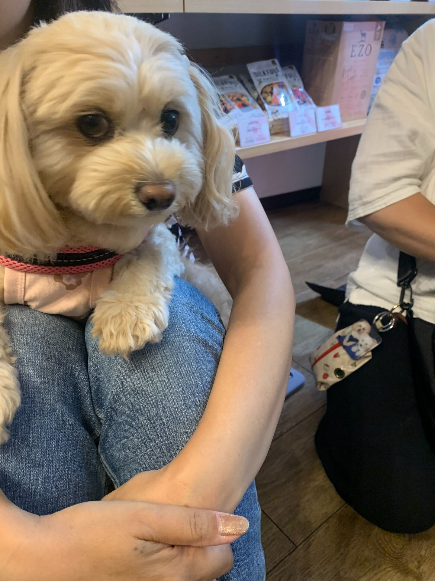 ウコちゃん、スコくんご来店ありがとうございます😊