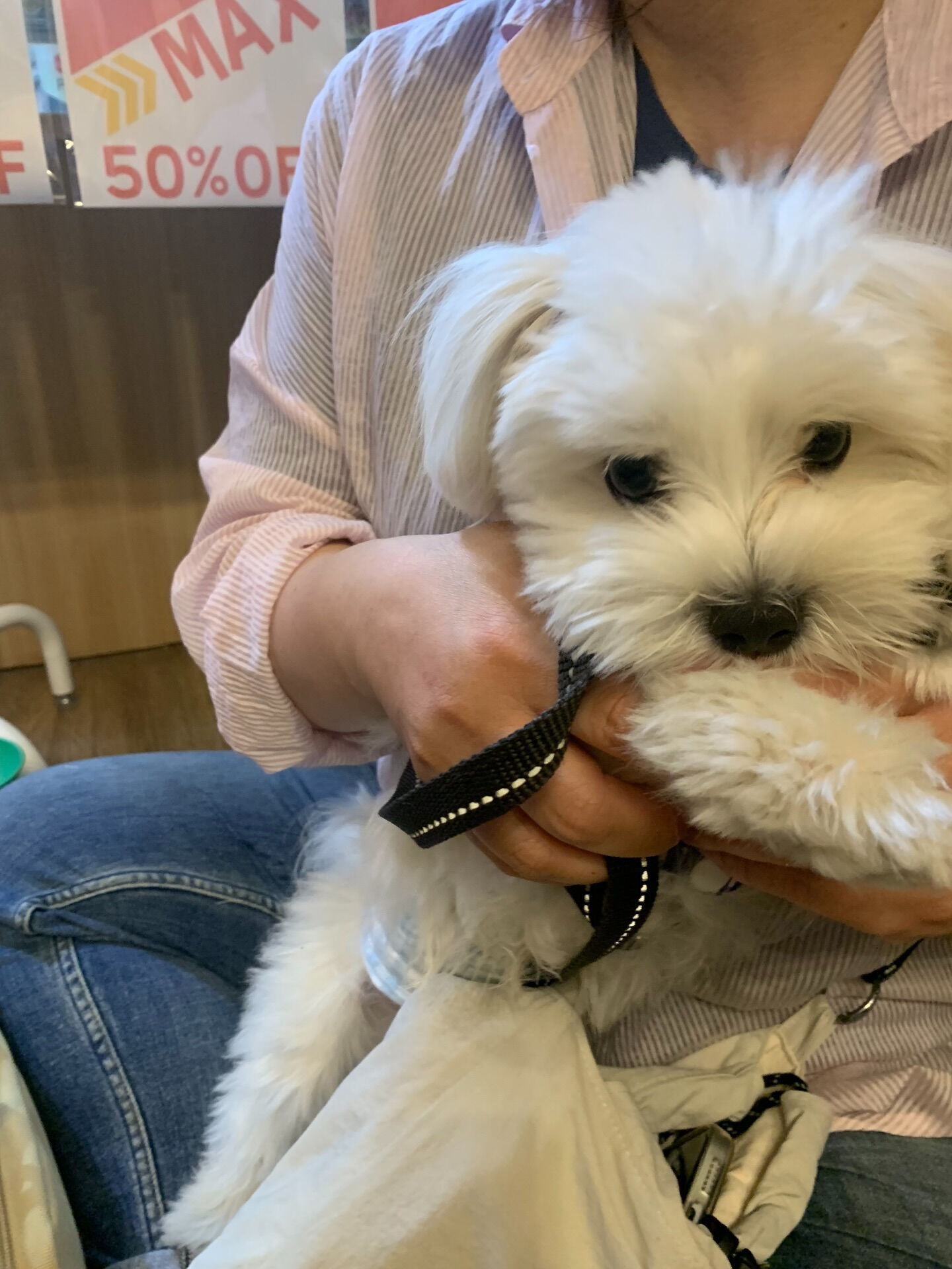 ウコちゃん、スコくんご来店ありがとうございます😊