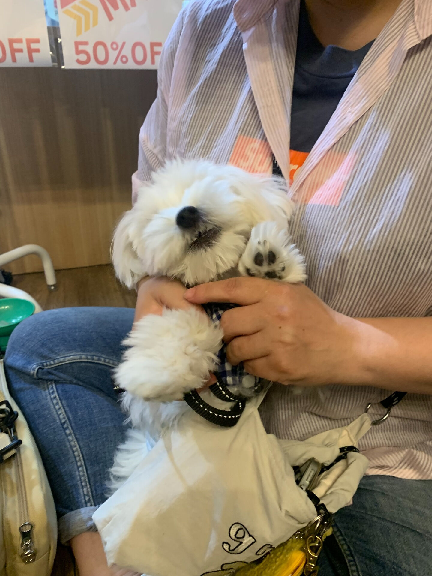 ウコちゃん、スコくんご来店ありがとうございます😊