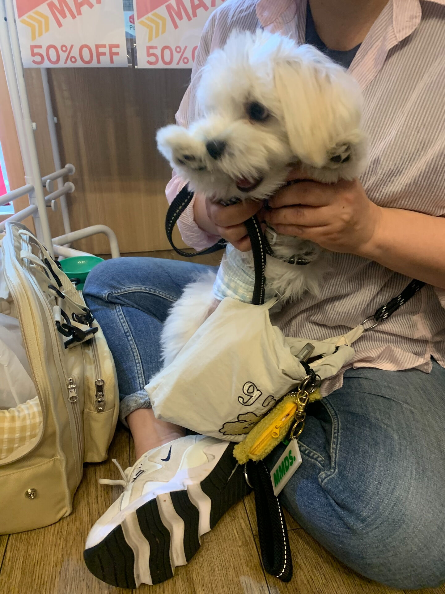 ウコちゃん、スコくんご来店ありがとうございます😊