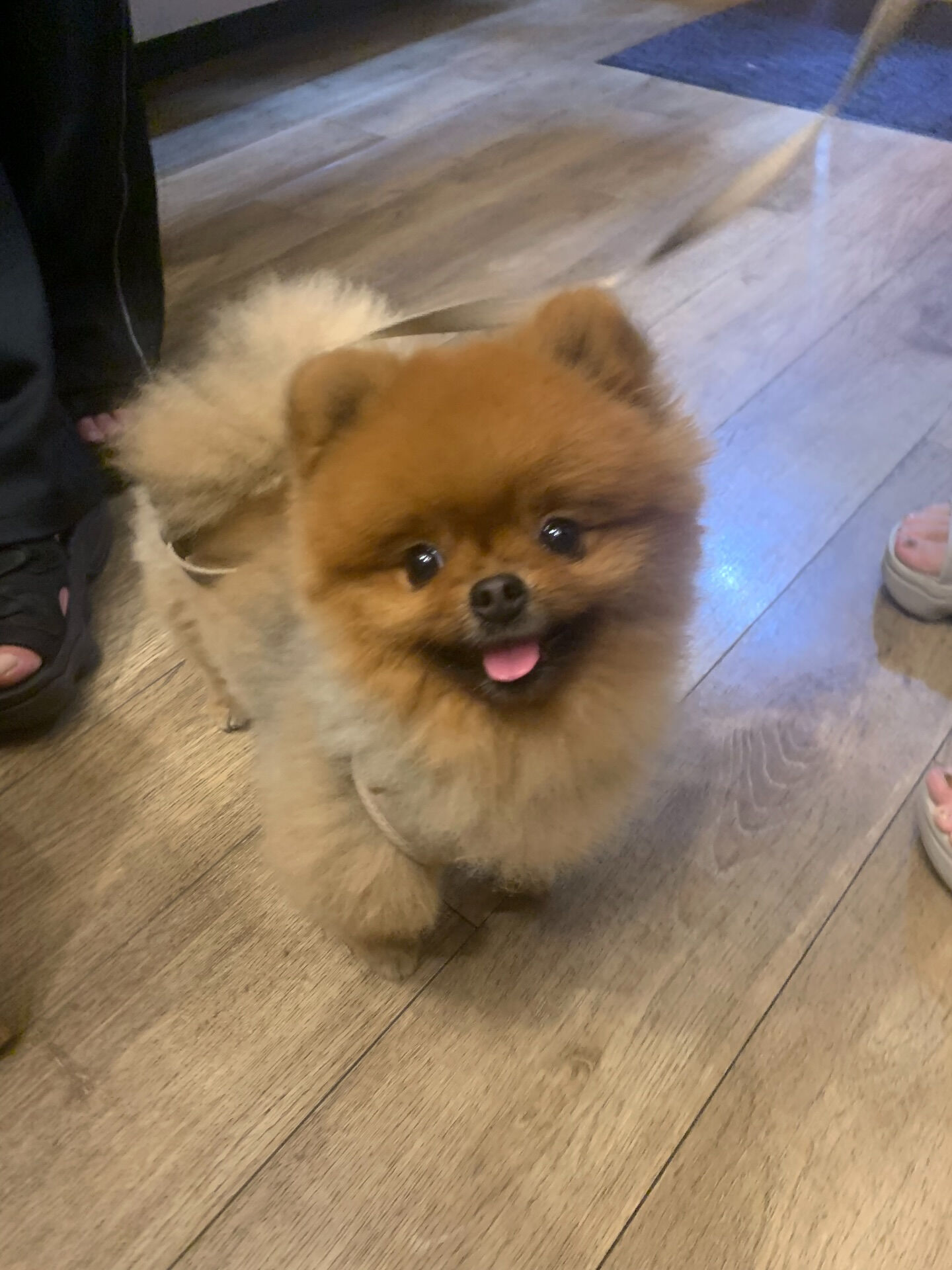 本日の大トリはイニちゃんでしたー♡