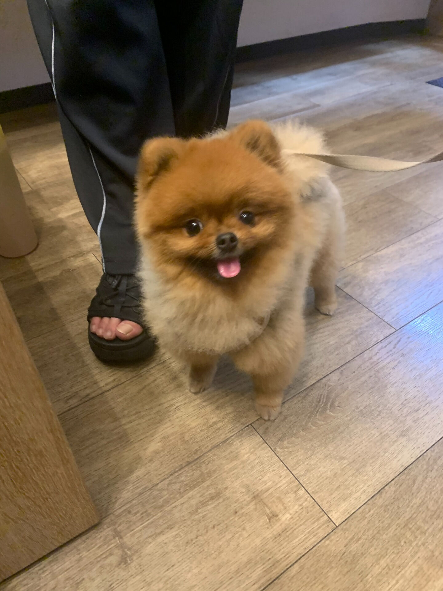 本日の大トリはイニちゃんでしたー♡