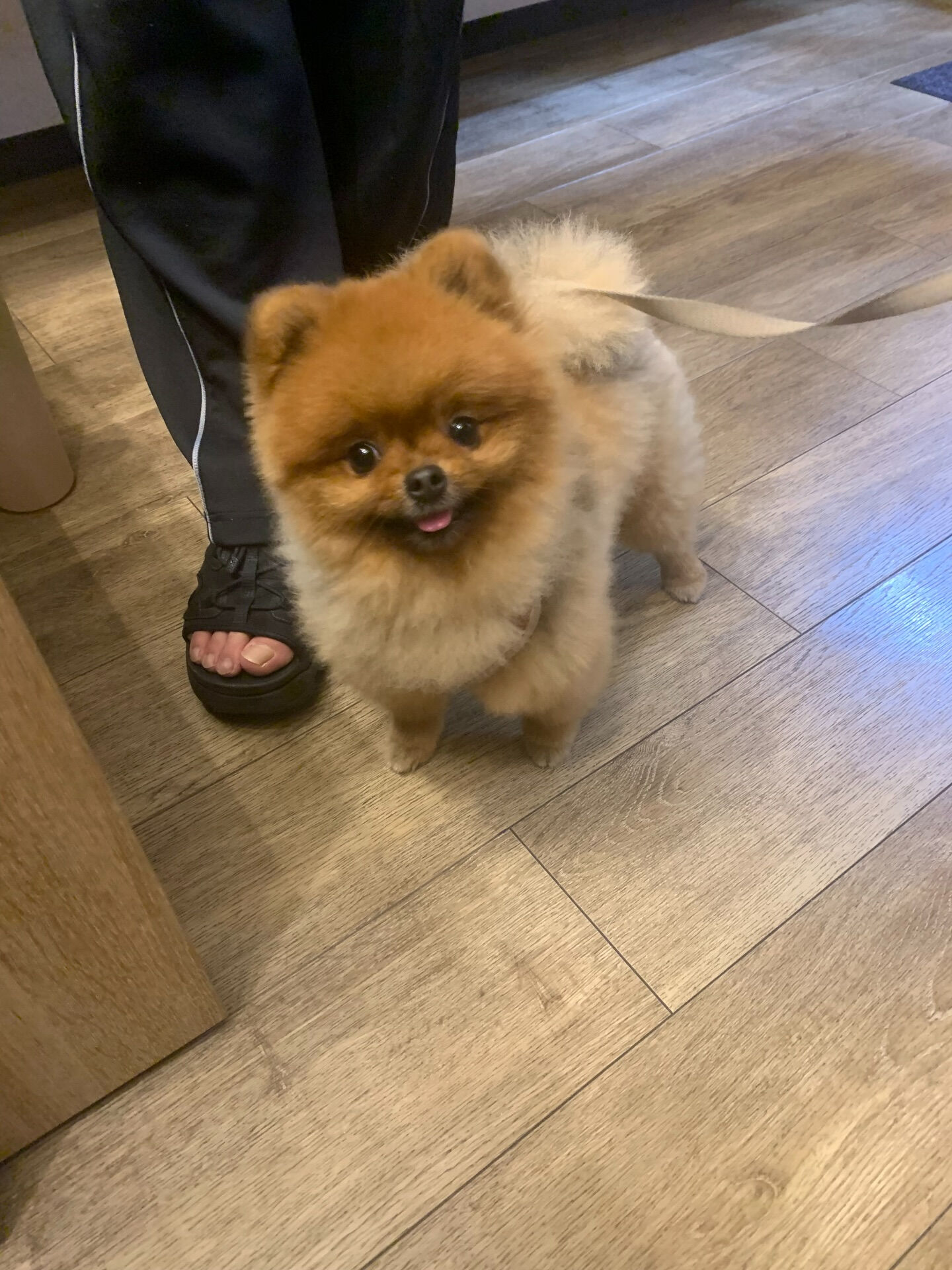本日の大トリはイニちゃんでしたー♡