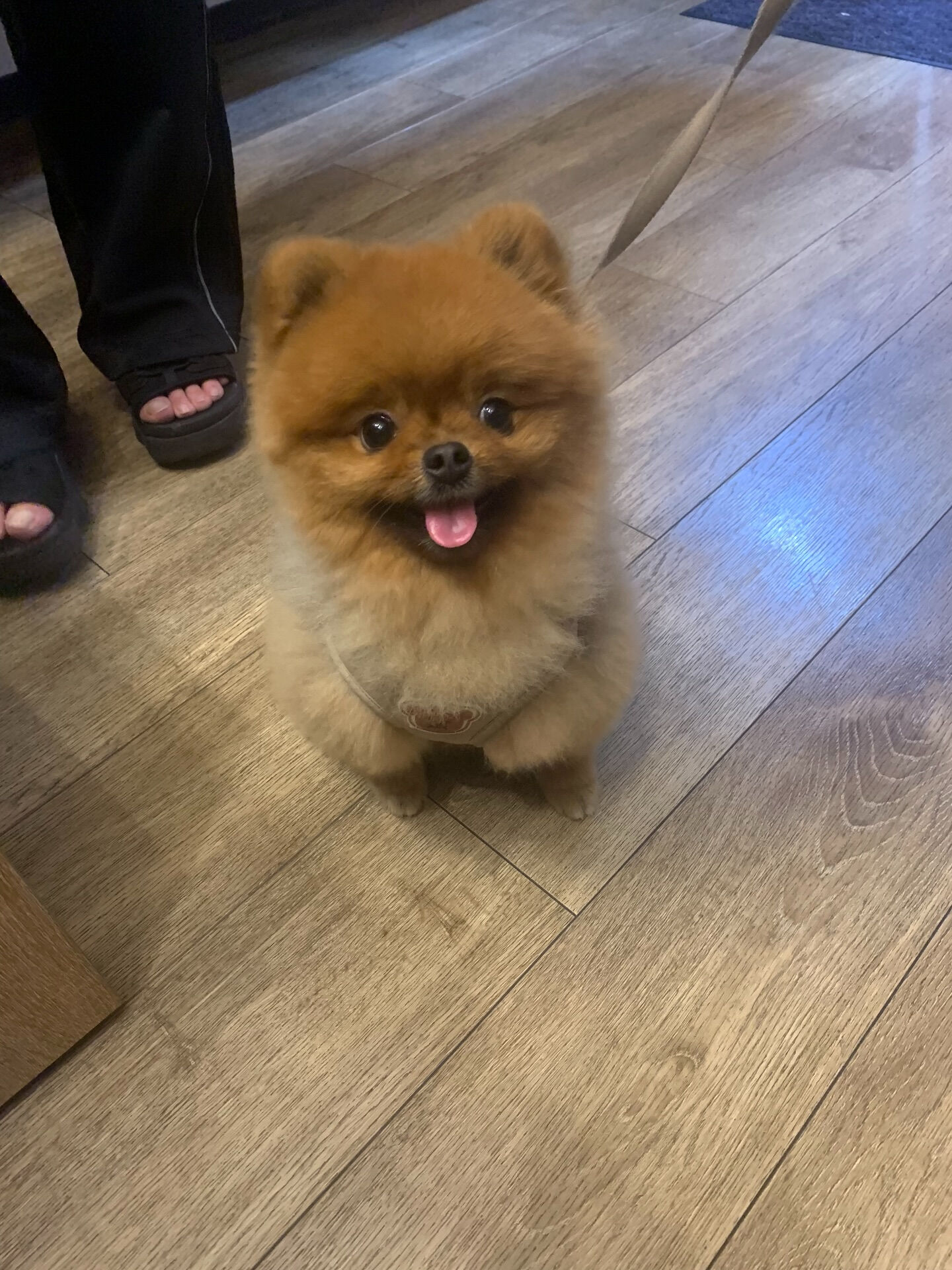 本日の大トリはイニちゃんでしたー♡