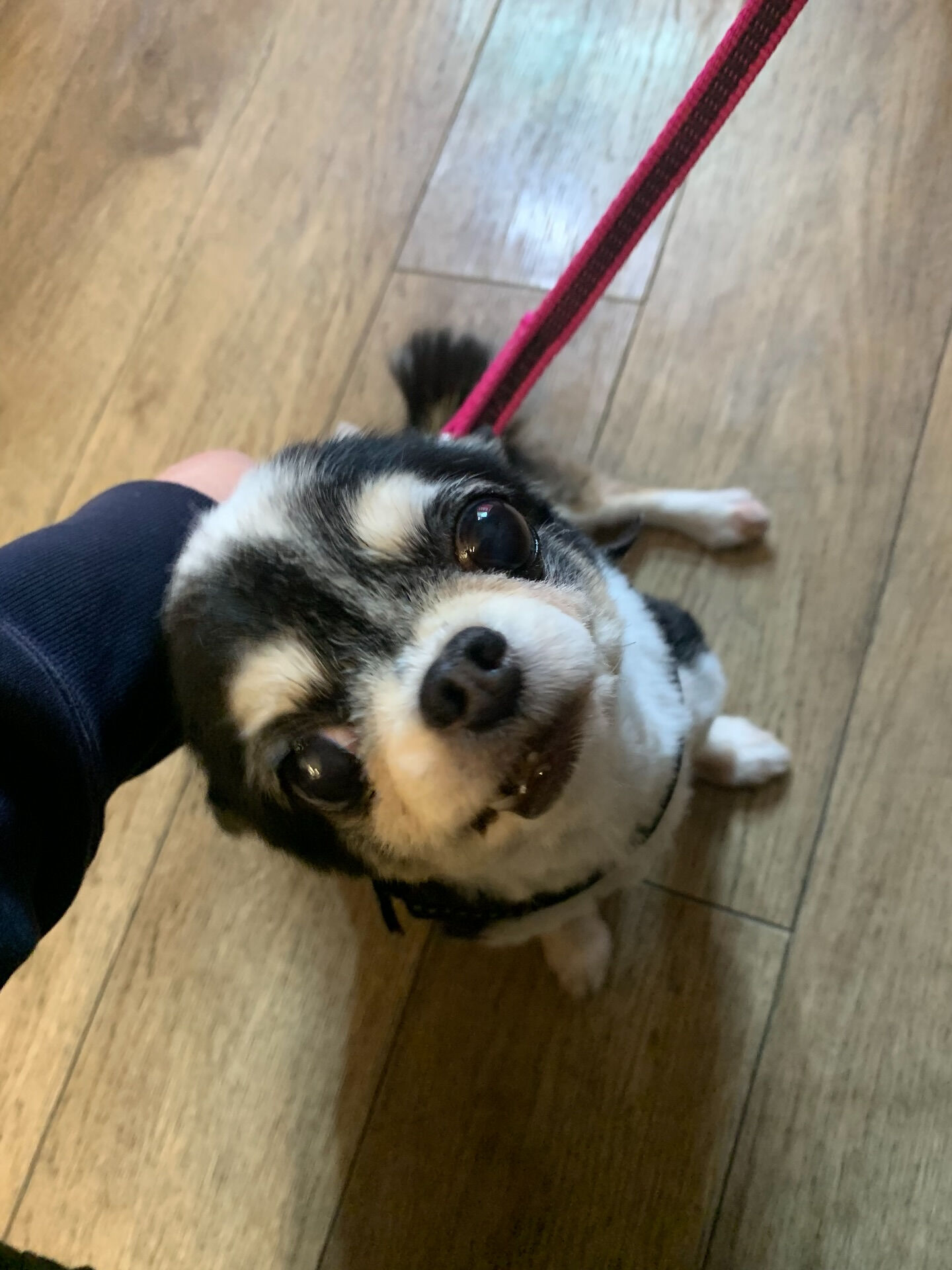つむぎちゃんご来店ありがとうございます😊