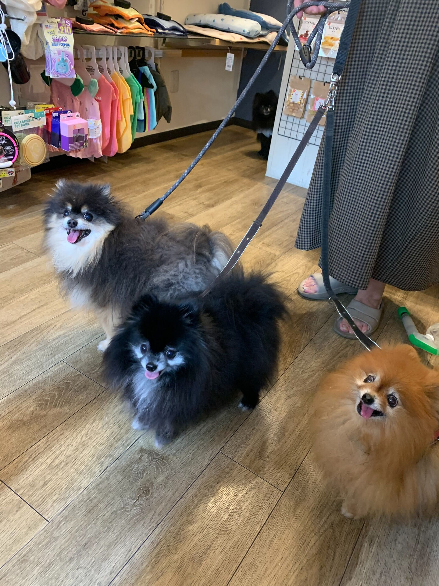 こたろうくん、ひよりちゃん、くまきちくんご来店ありがとうござ